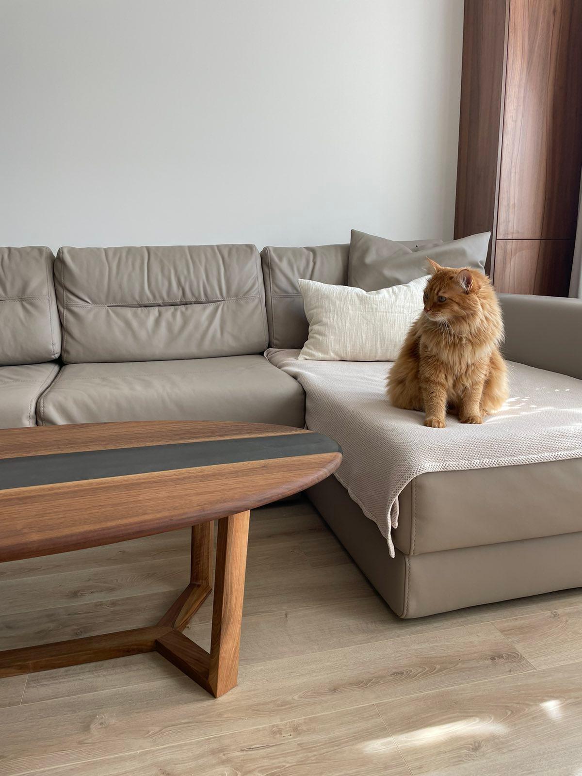Bulgarian Brown Ellipse Coffee Table by KV Design For Sale