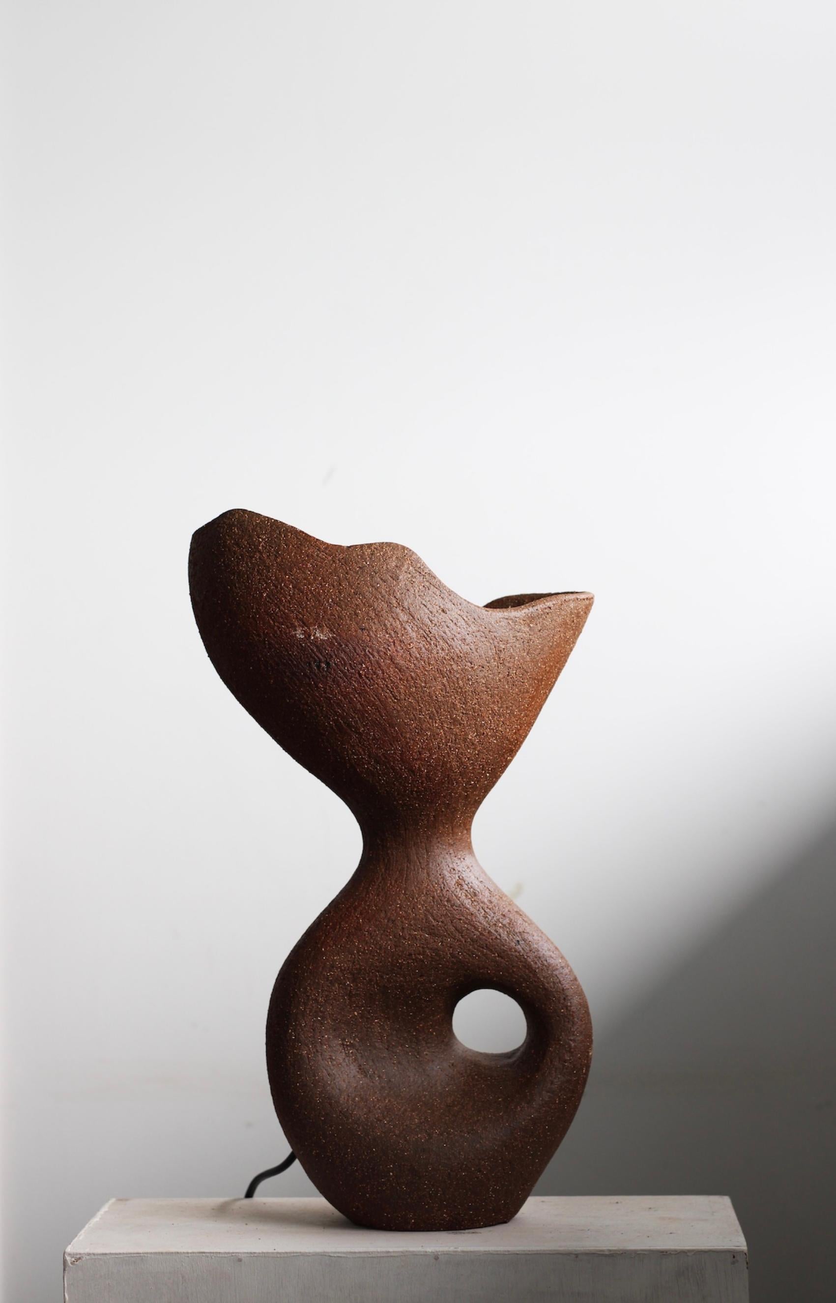 Other Brown Exo Lamp by Abid Javed For Sale