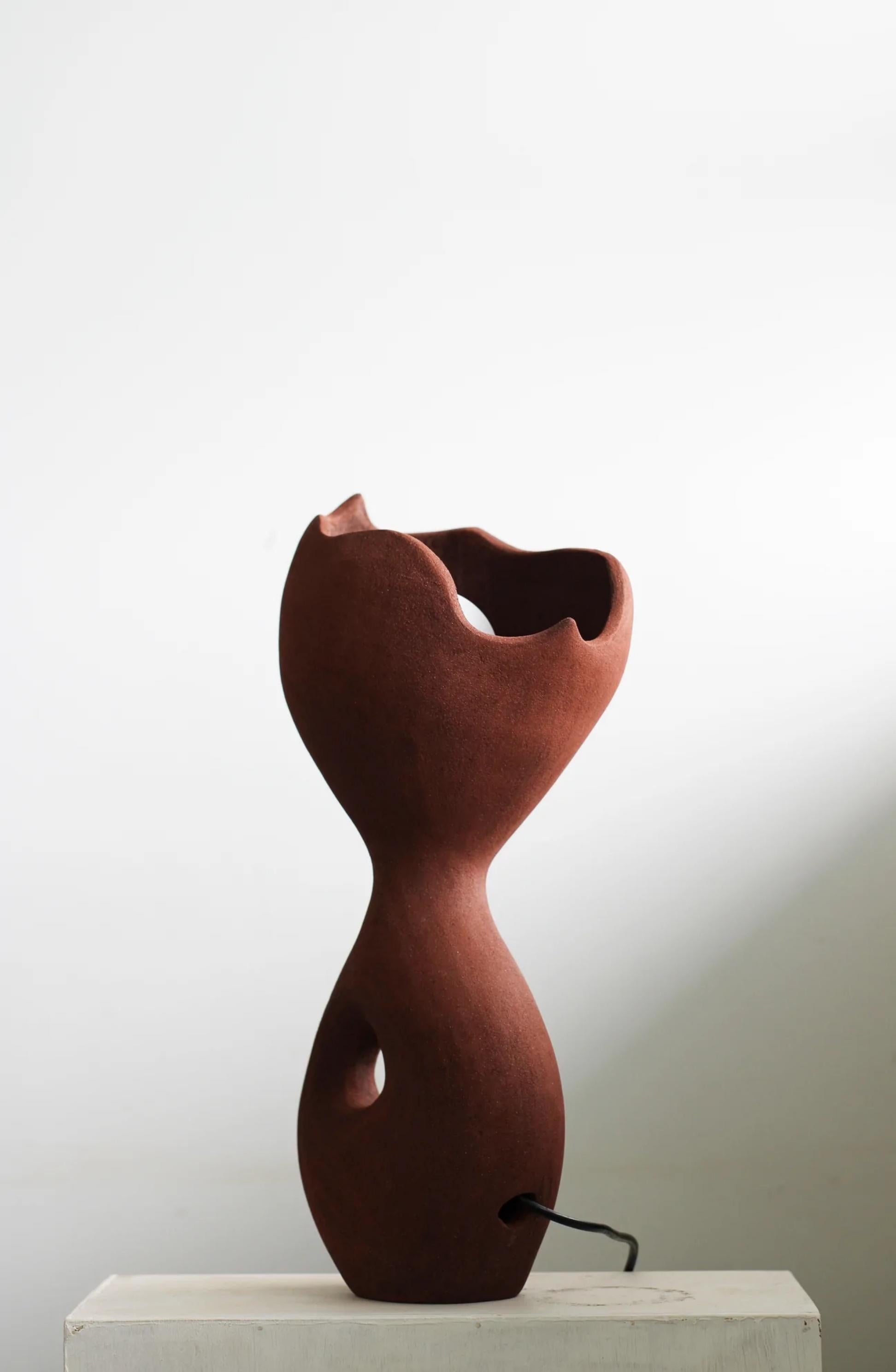 Contemporary Brown Exo Lamp by Abid Javed For Sale