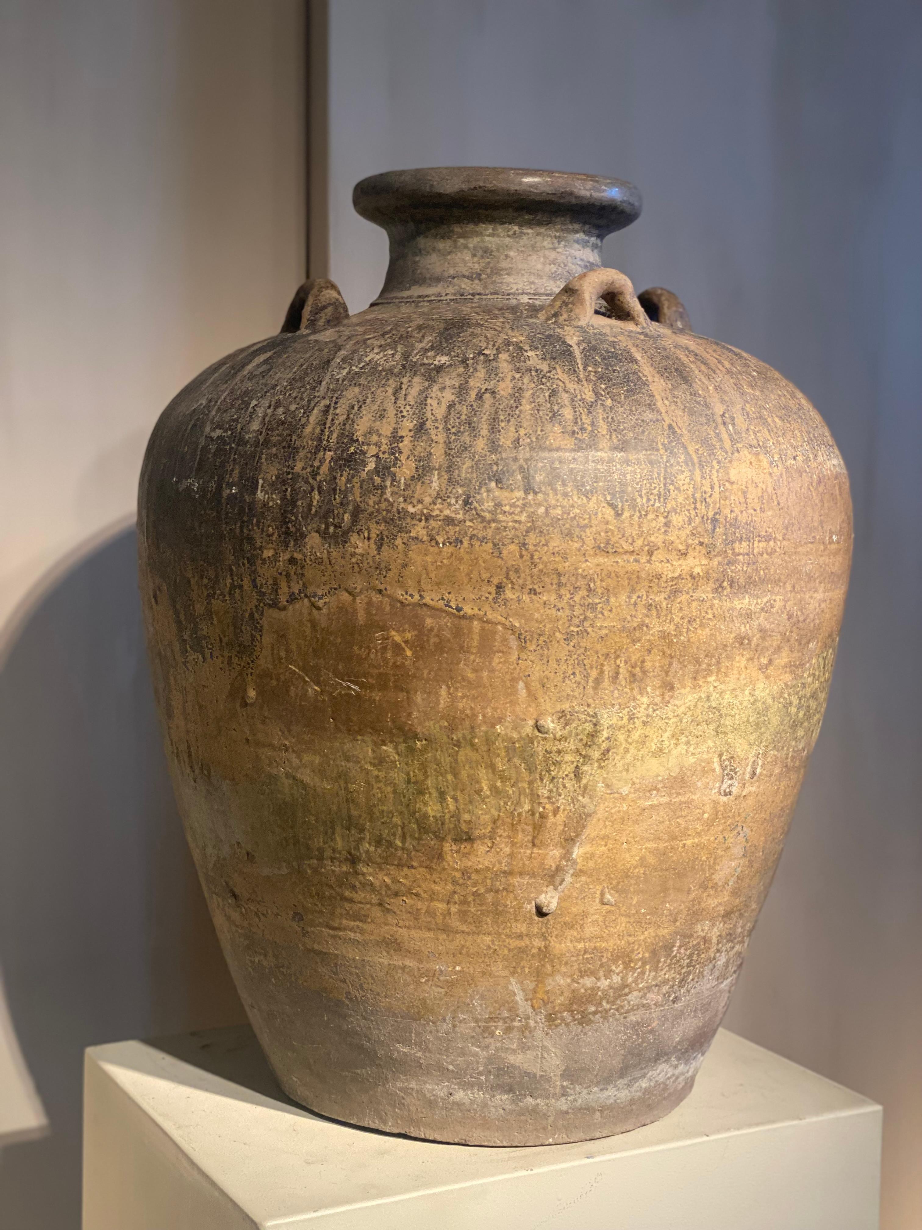 Smaltato Vaso di terracotta smaltata marrone in vendita