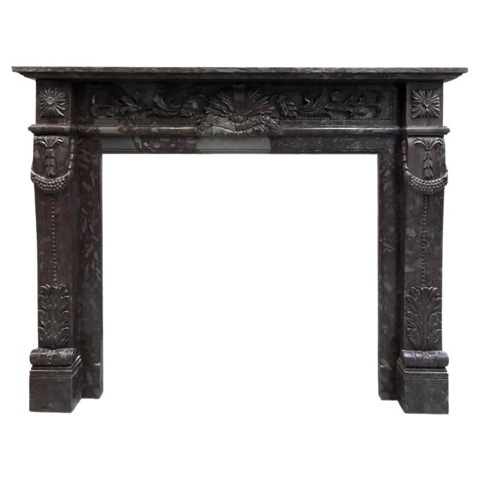 Brown grey marble fireplace 19th Century For Sale