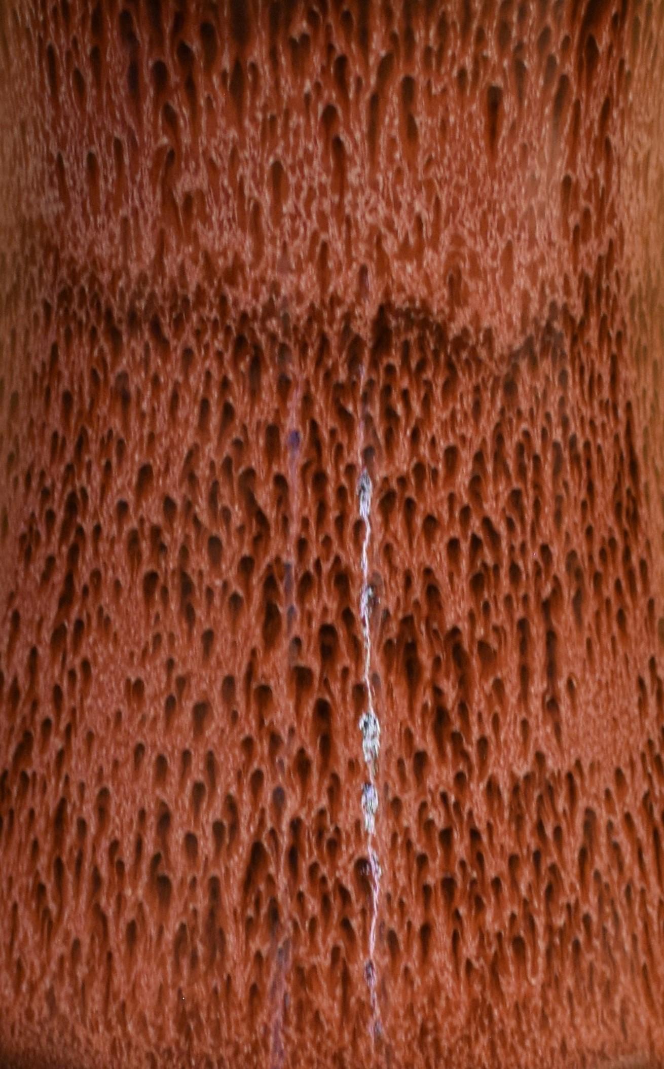 Porcellana Vaso di porcellana marrone smaltato a mano da un maestro giapponese in vendita