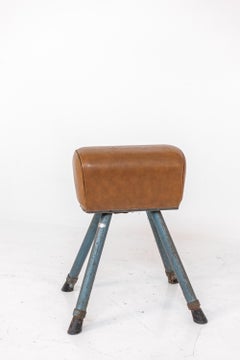 Brown Leather and Varnished Iron Italian Exercise Horse