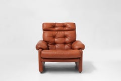 Brown leather armchair Coronado by Tobia Scarpa for B&B Italia, Italy ca. 1960