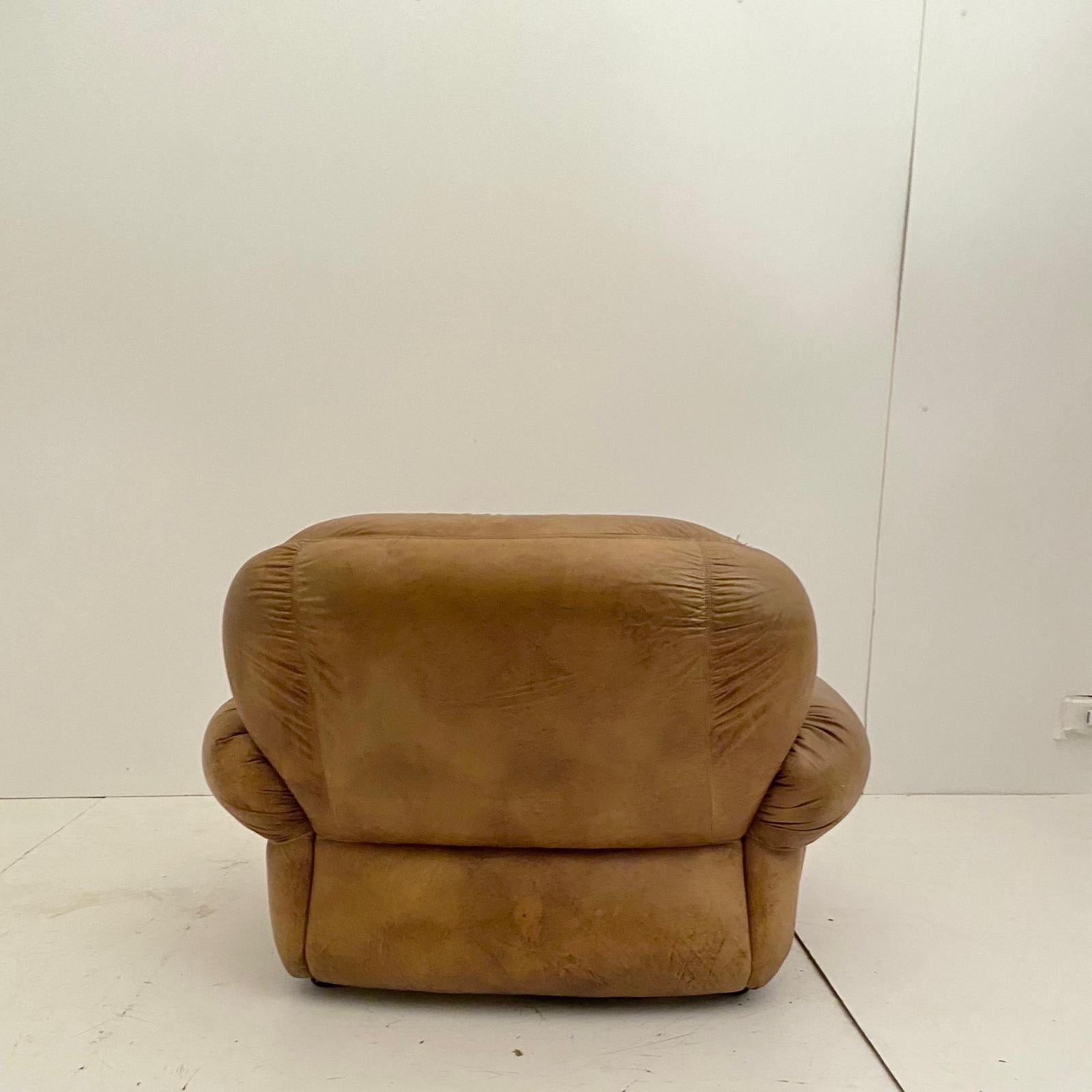 Fauteuils en cuir Brown, modèle 