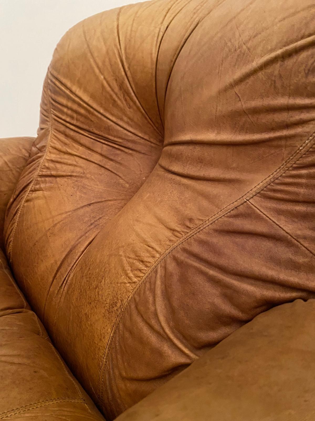 Fauteuils en cuir Brown, modèle 