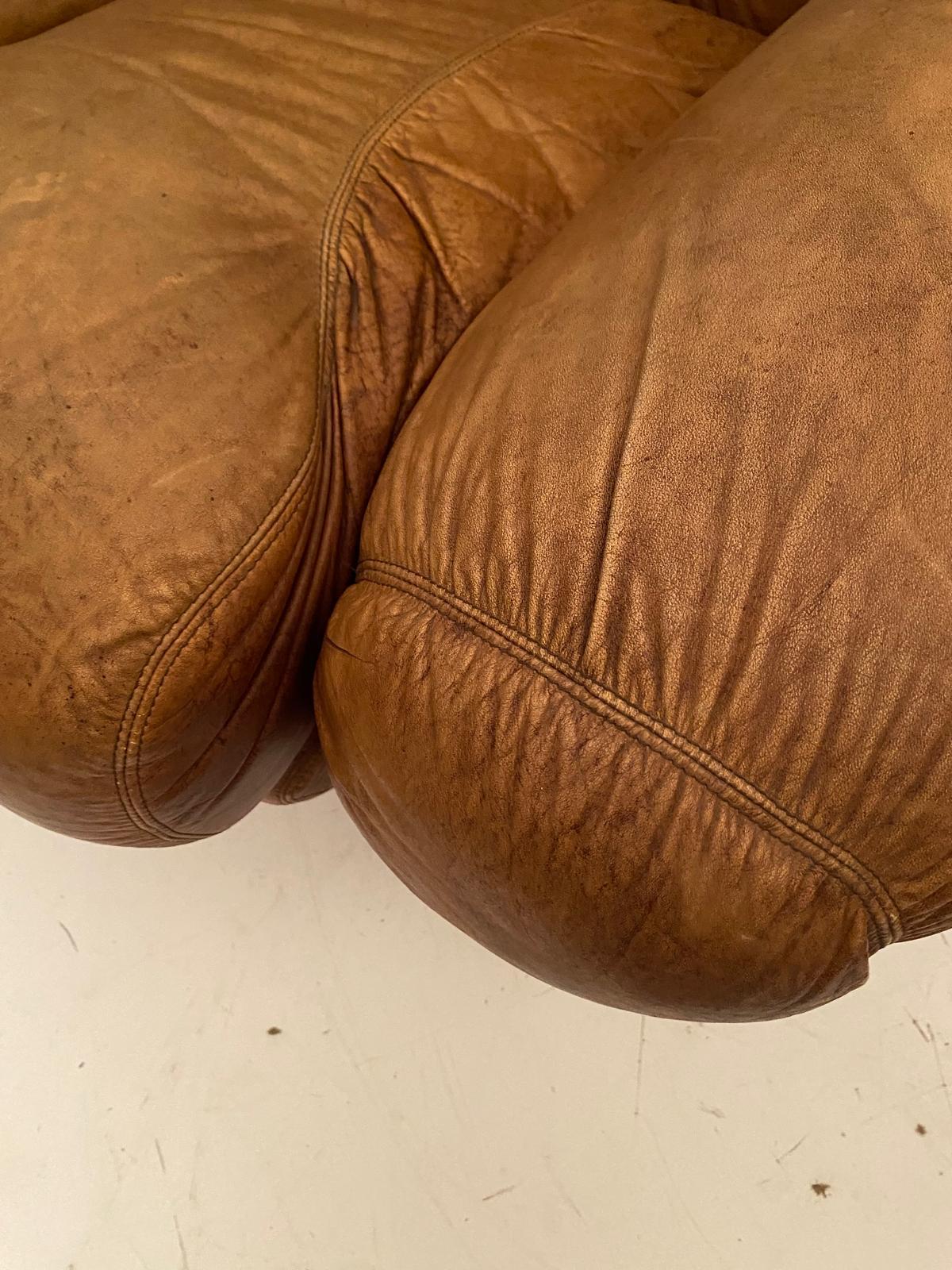 Fauteuils en cuir Brown, modèle 