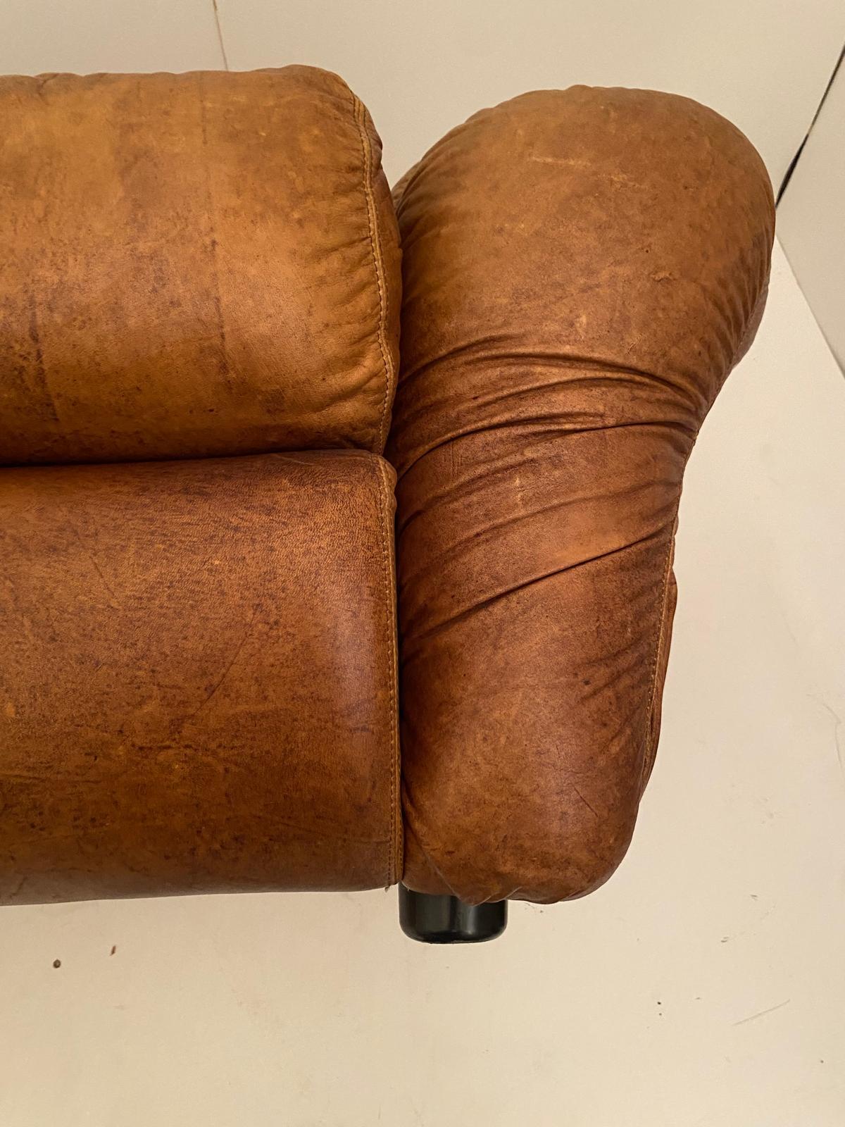 Fauteuils en cuir Brown, modèle 
