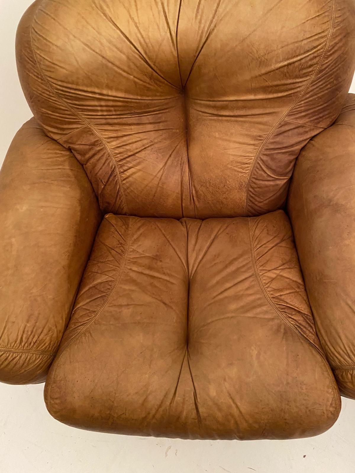 Fauteuils en cuir Brown, modèle 