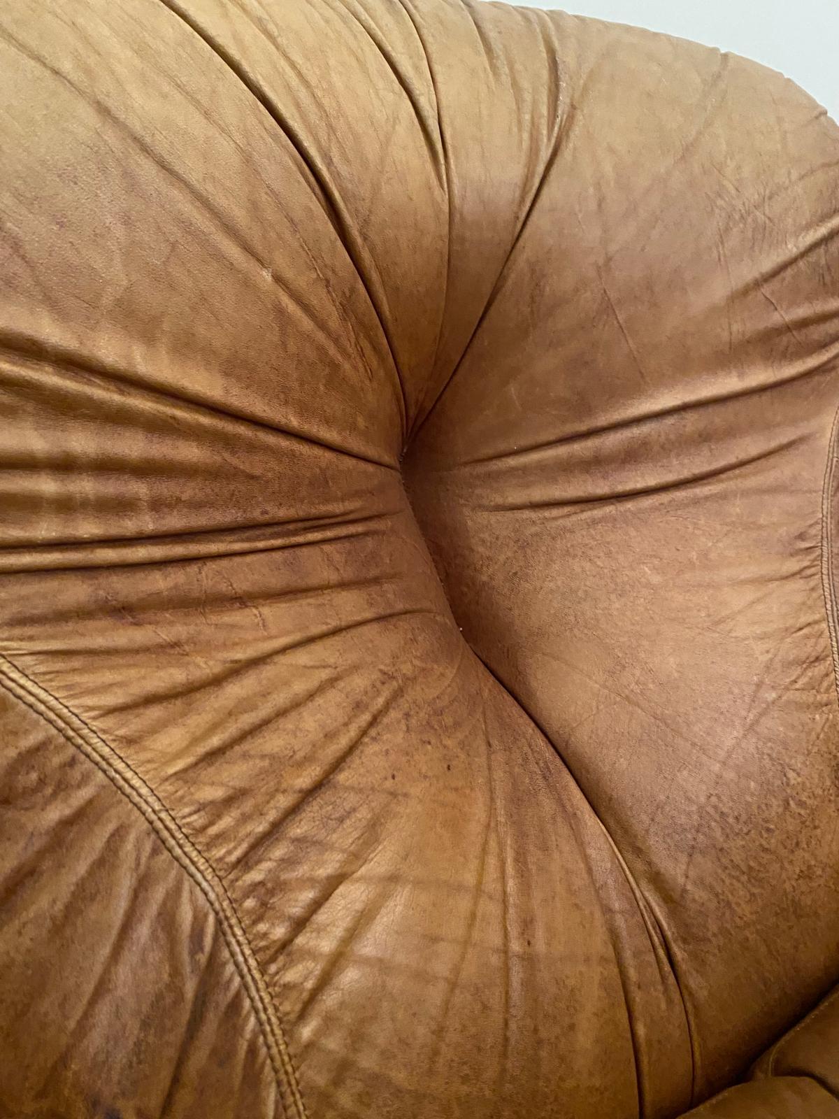 Fauteuils en cuir Brown, modèle 