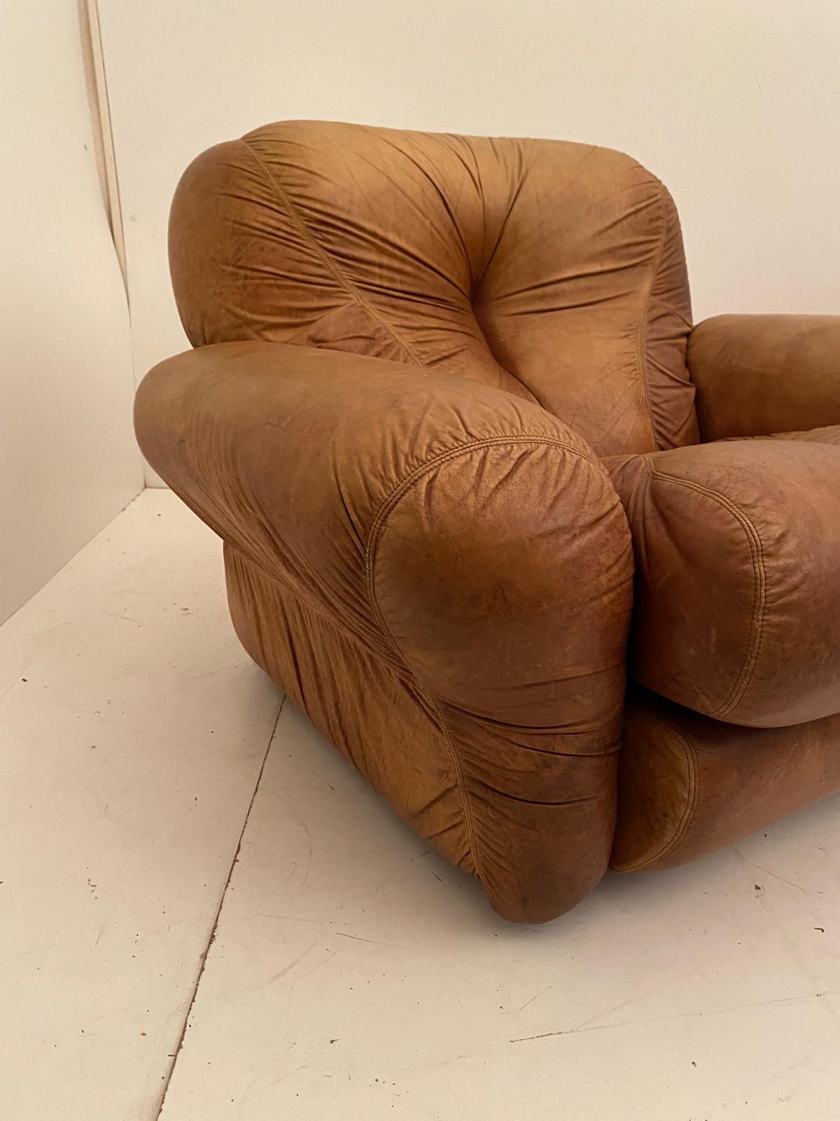 Fauteuils en cuir Brown, modèle 