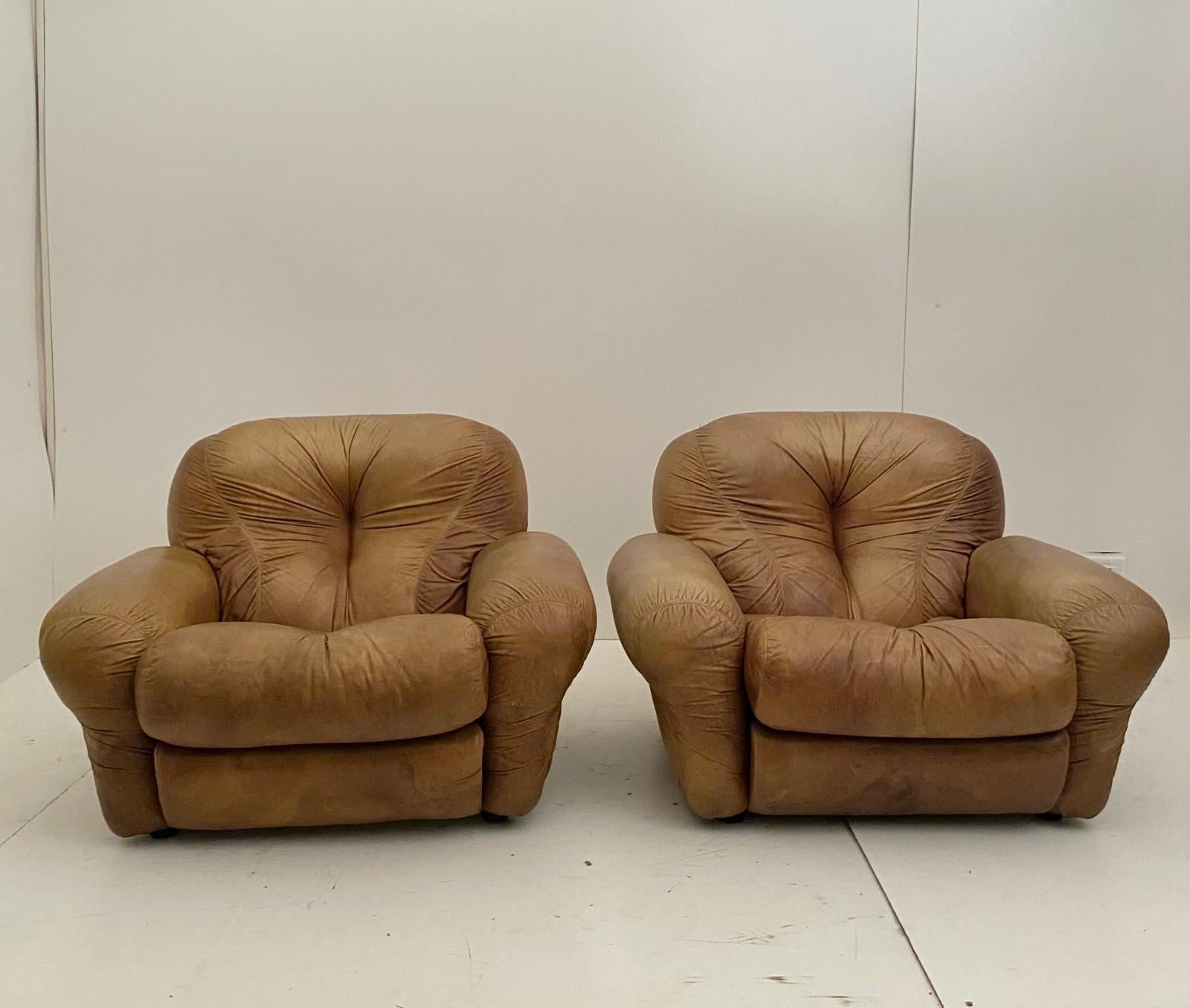 Fauteuils en cuir Brown, modèle 