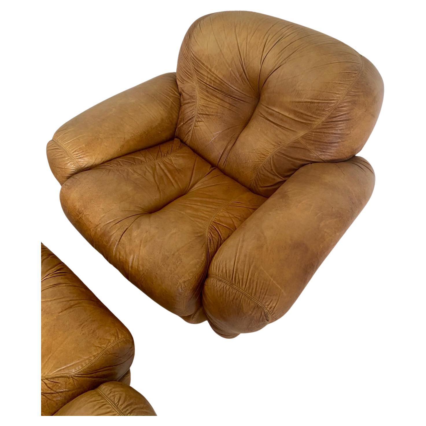 Fauteuils en cuir Brown, modèle 