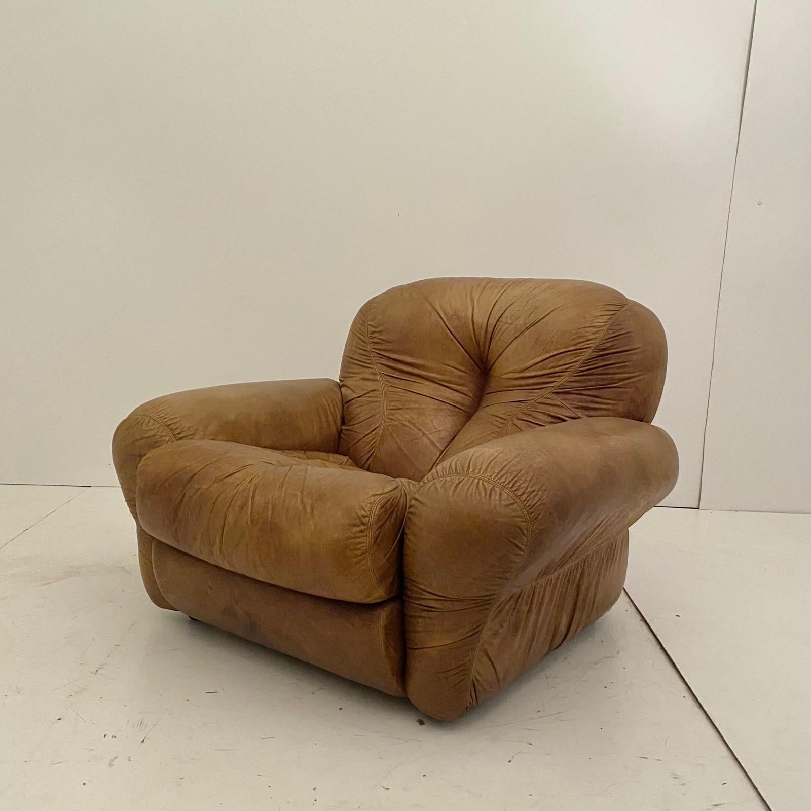 Cuir Fauteuils en cuir Brown, modèle 