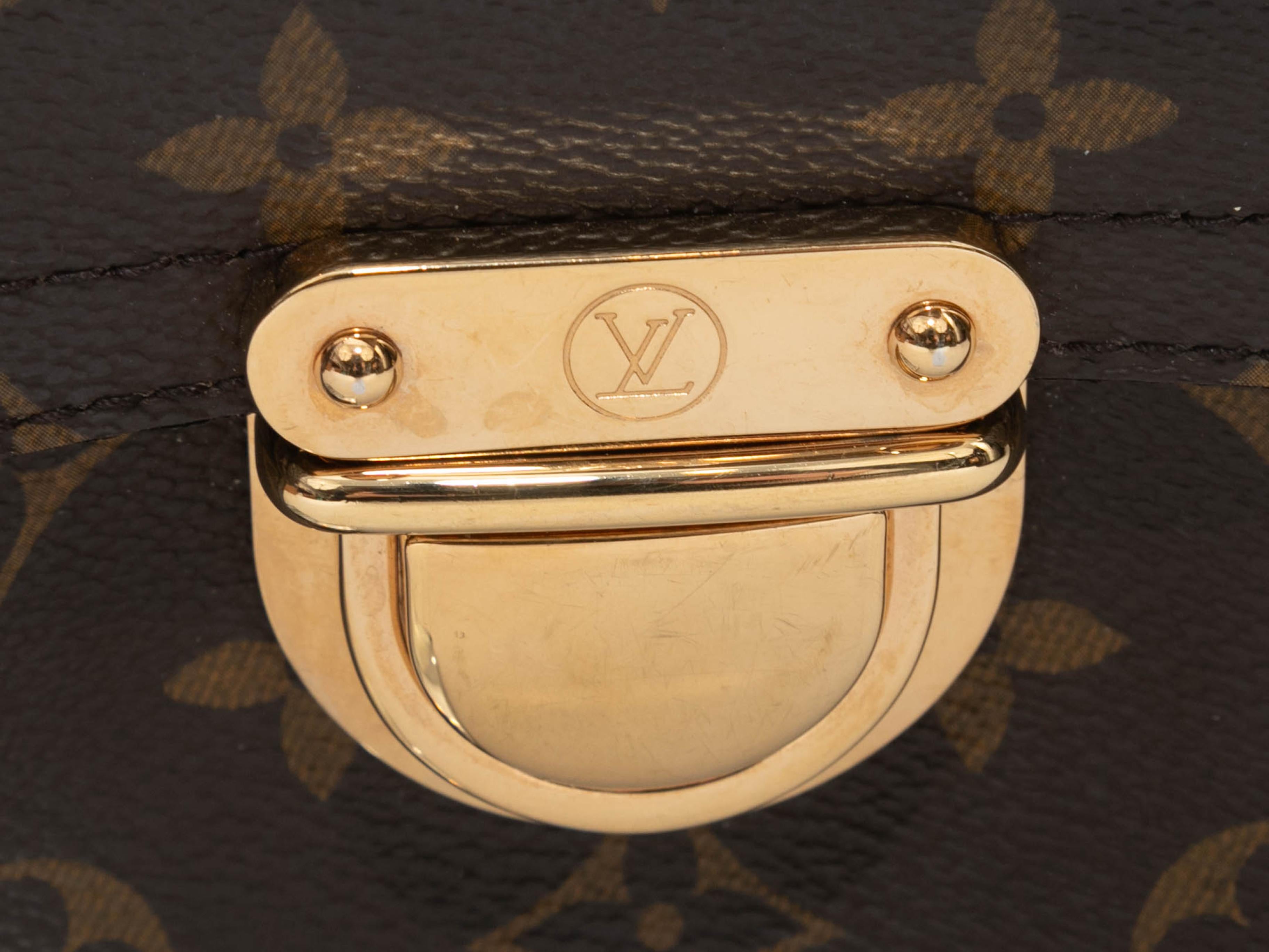 Brown Louis Vuitton Monogram Hudson PM Bag For Sale 1