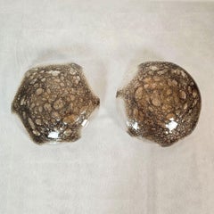 Brown Mid-Century Murano glass sconces