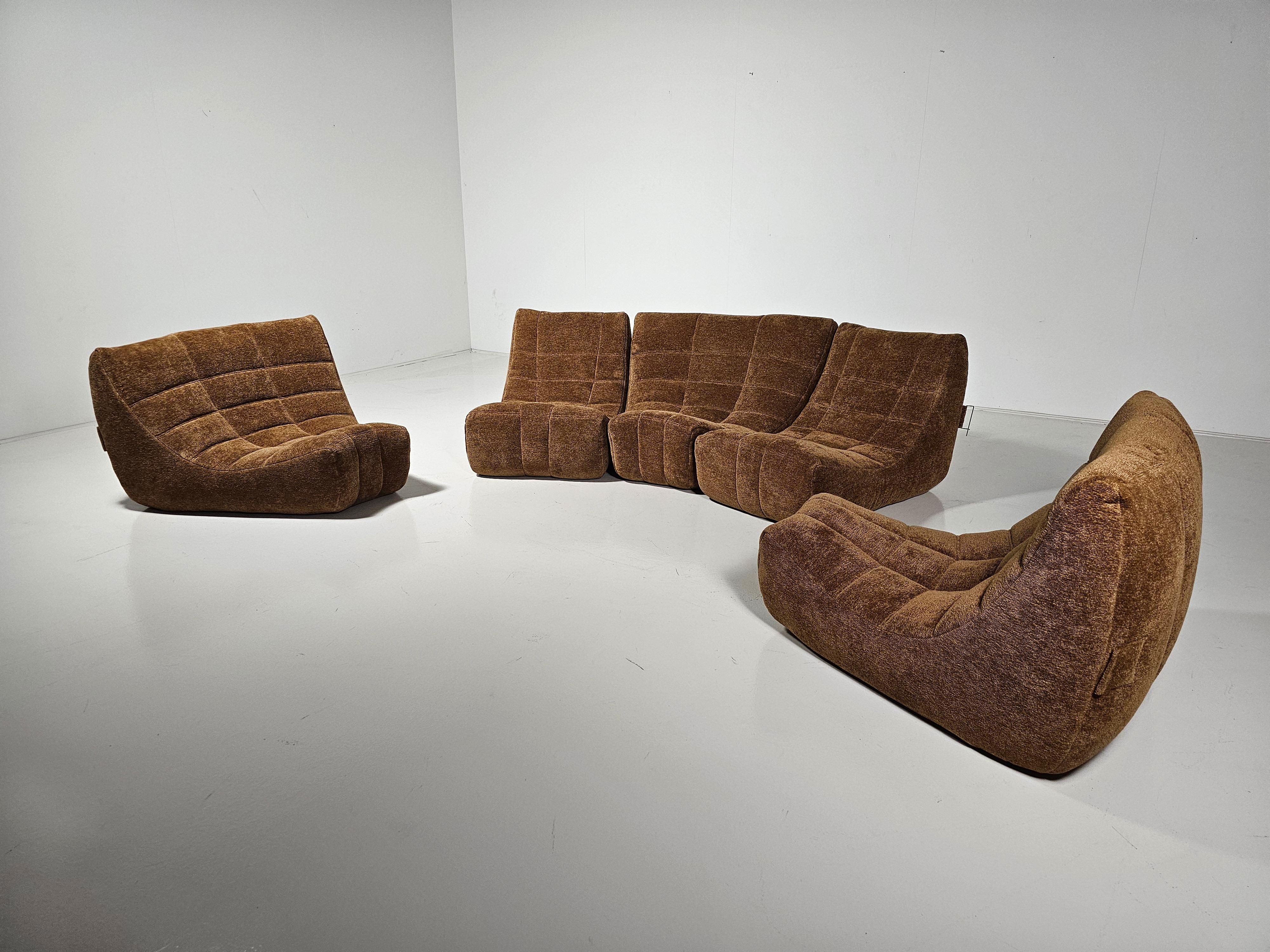 Mid-Century Modern Brown Modular 'Gilda' sofa by Michel Ducaroy for Ligne Roset, France For Sale
