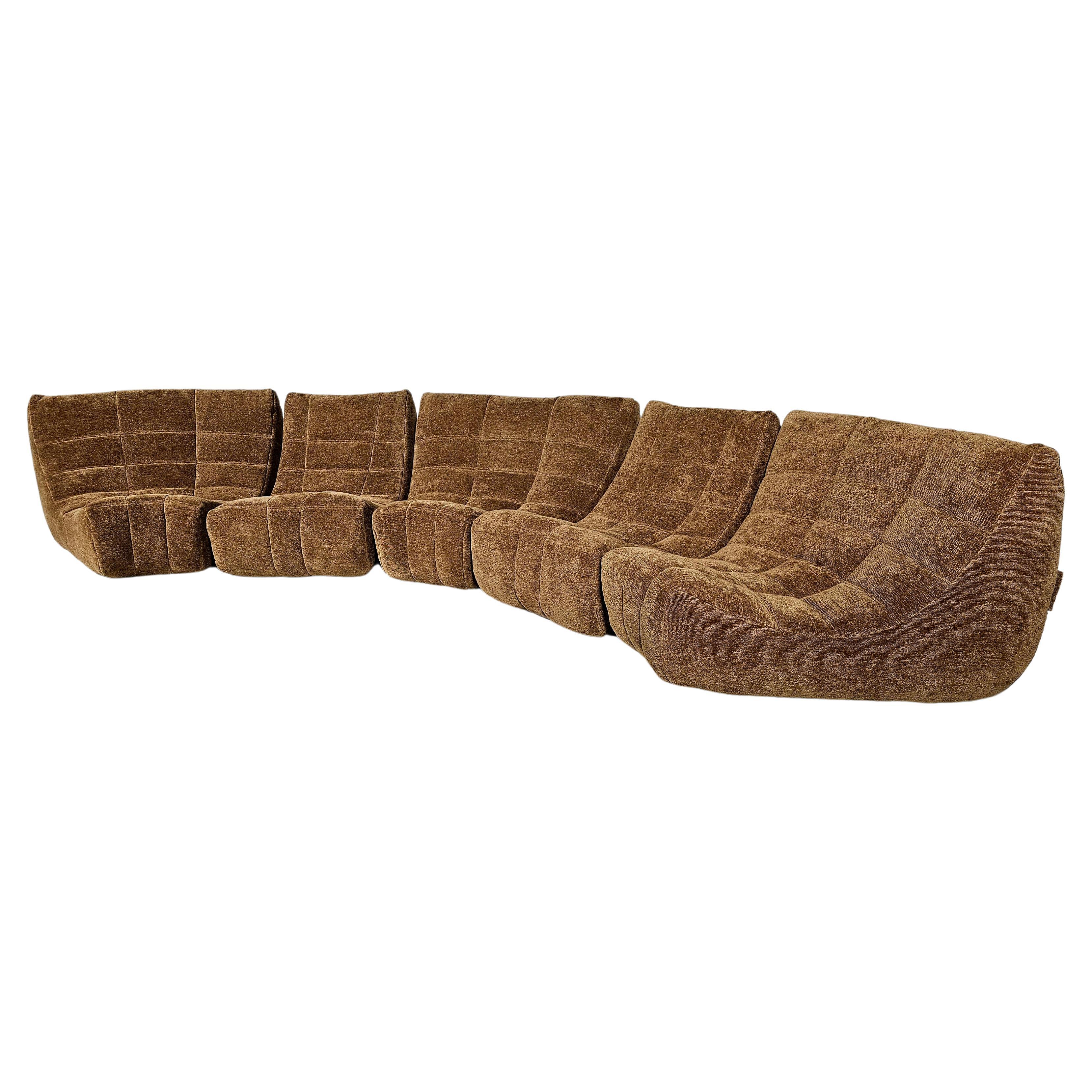 Brown Modular 'Gilda' sofa by Michel Ducaroy for Ligne Roset, France For Sale