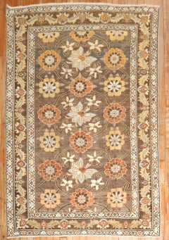 Brown Persian Veramin Rug