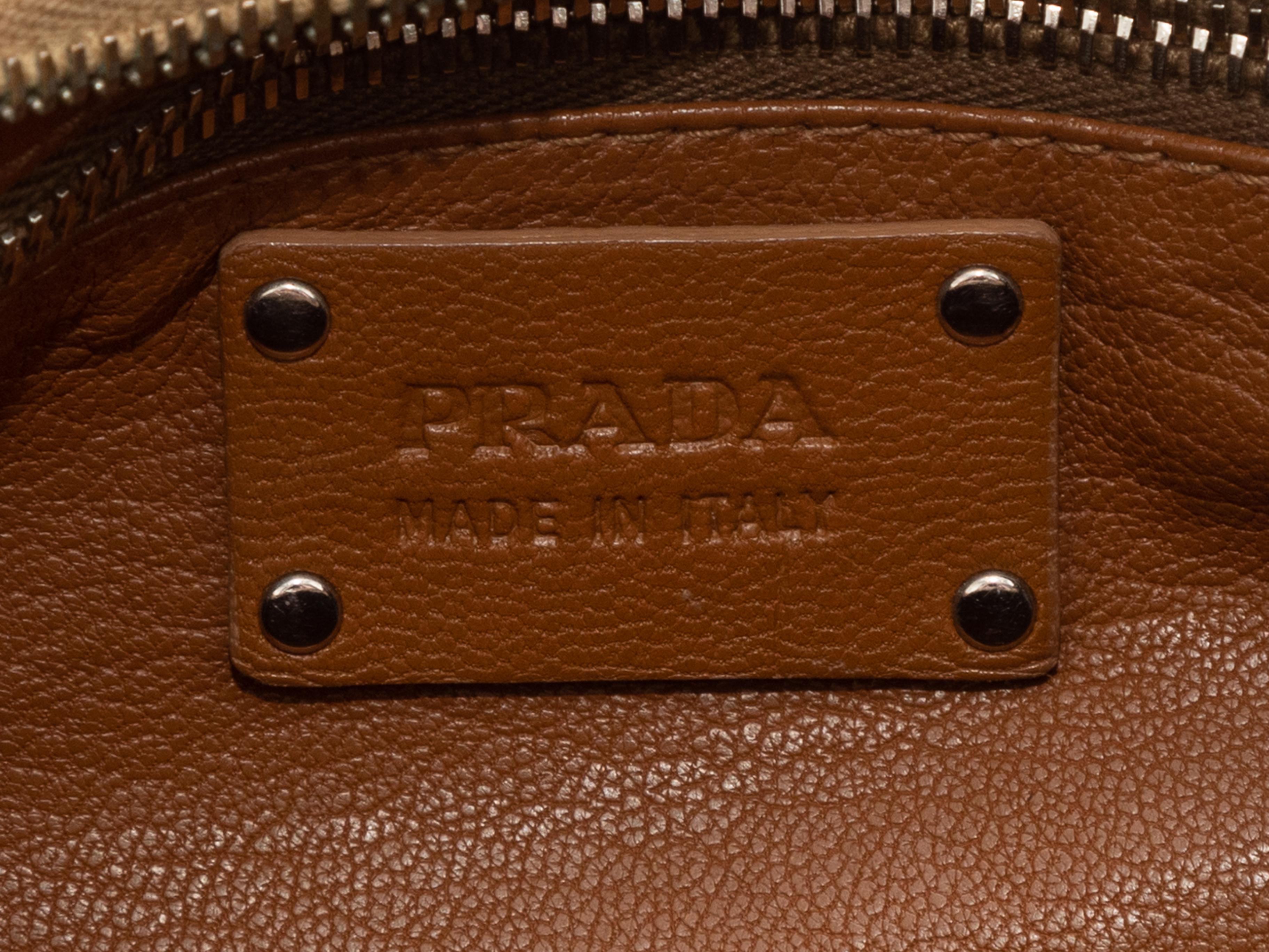 Prada Brown Python Hobo Bag 2