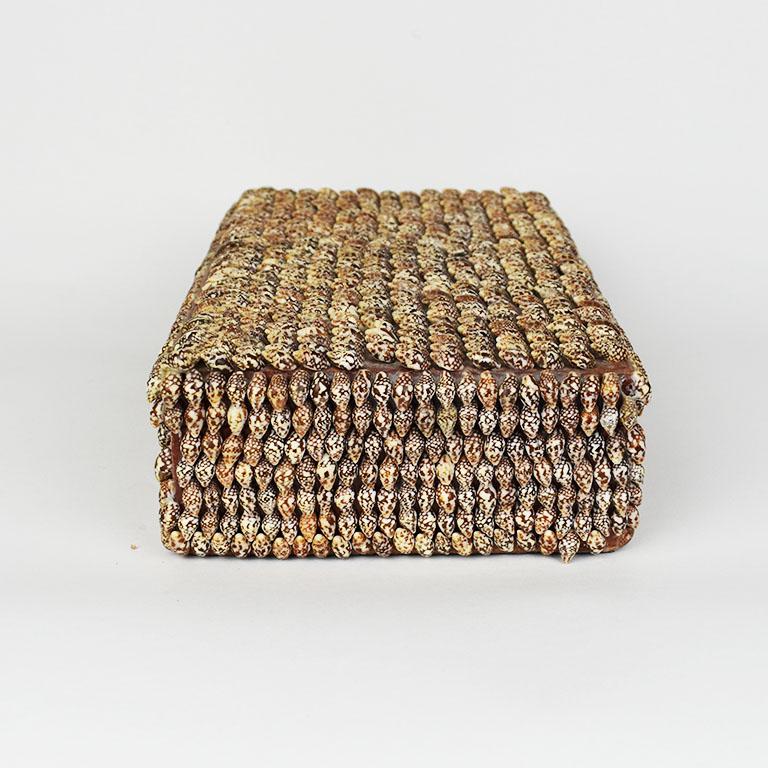 Vintage Coastal Brown Rectangular Sea Shell Covered Box mit Deckel, Arthur Court (Volkskunst) im Angebot
