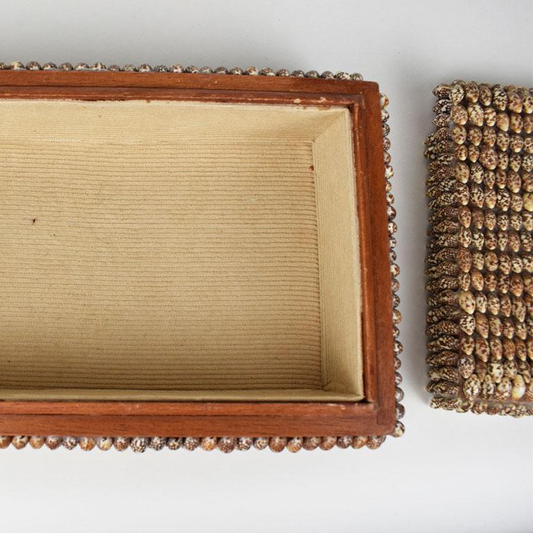 Vintage Coastal Brown Rectangular Sea Shell Covered Box mit Deckel, Arthur Court (Muschel) im Angebot