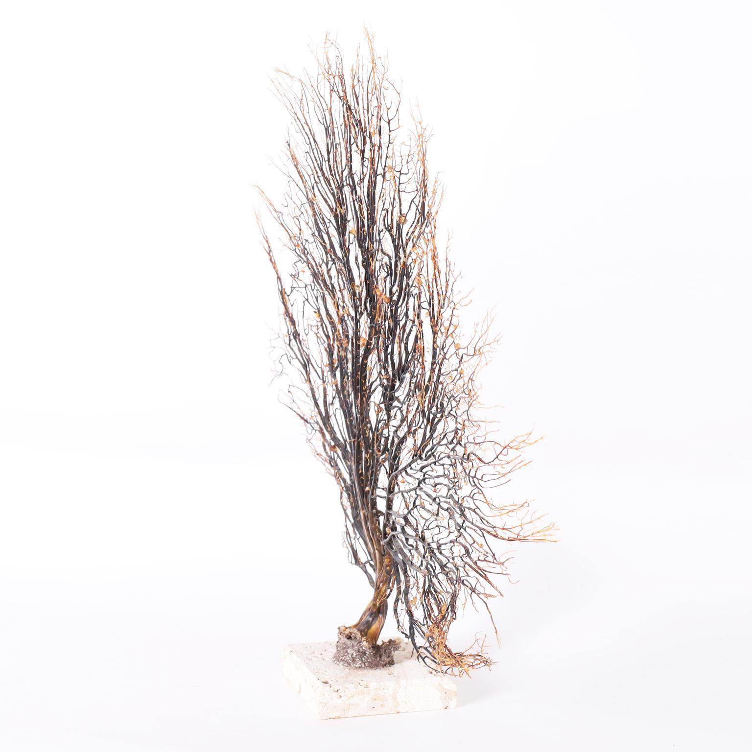 Contemporary Brown Sea Fan on a Coquina Base For Sale