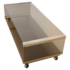 Brown Smoked Tempered Glass Coffee Table by Gallotti & Radice with Casters