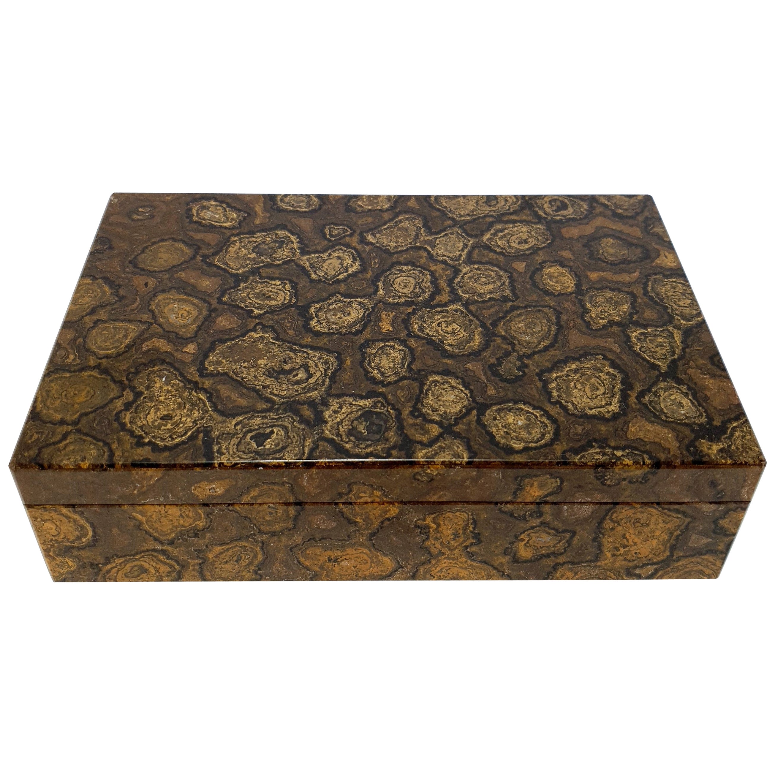 Brown Stromatolite Decorative Jewelry Gemstone Box with Black Marble Inlay