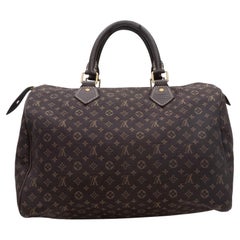 Brown & Tan Louis Vuitton Mini Lin Speedy Bag