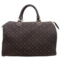 Brown & Tan Louis Vuitton Mini Lin Speedy Bag