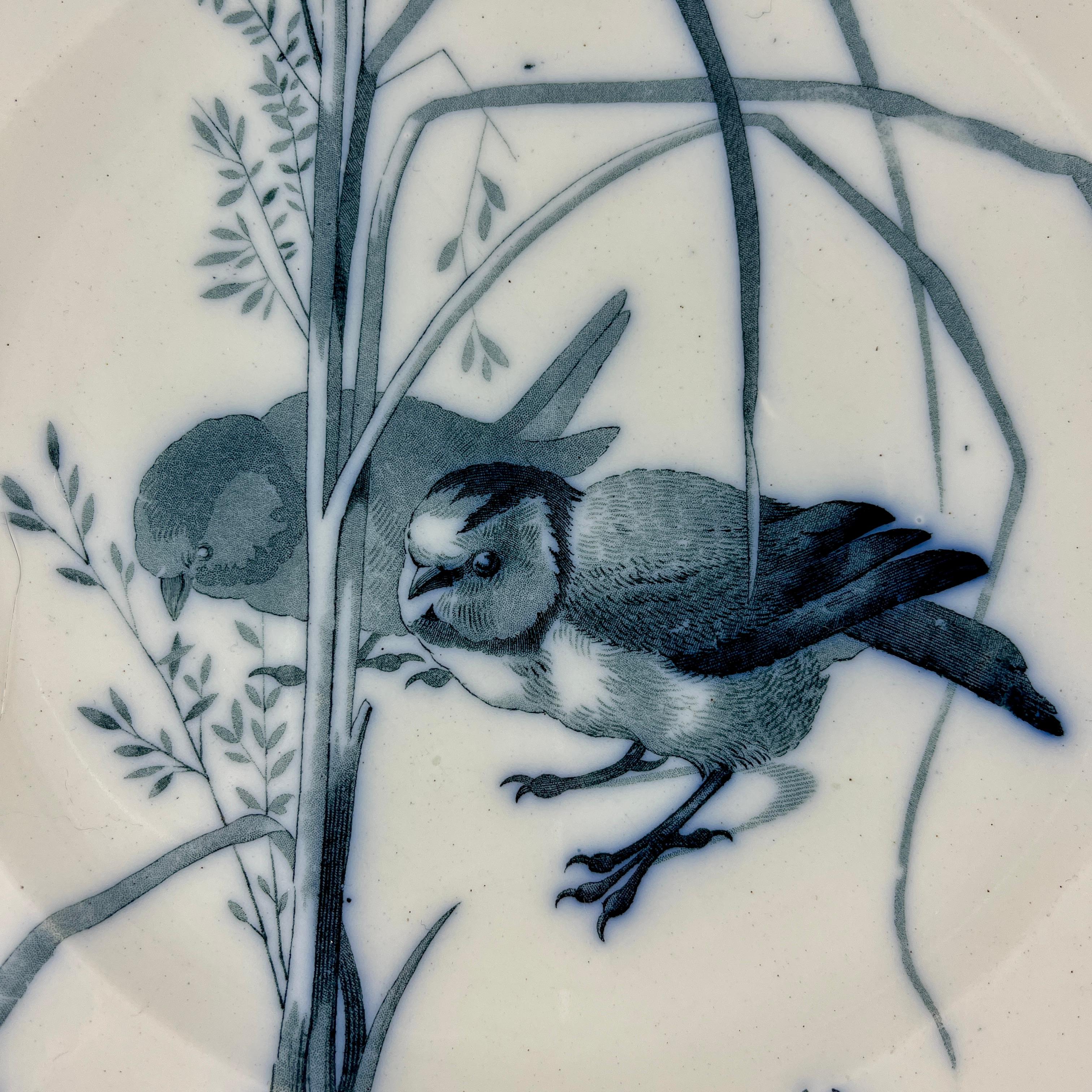 From Brown Westhead and Moore Potteries, Staffordshire England, a plate from the Canova pattern series c. 1870

A transfer printed bird themed pattern in dark blue on a creamy ironstone ground with a scalloped rim.
Designed by Pierre Mallet, in