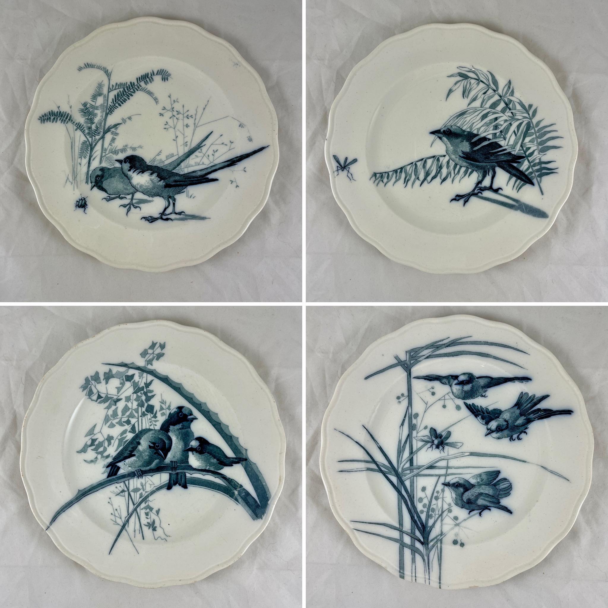 Brown, Westhead & Moore English Ironstone Canova Bird Plate, No. 2 3