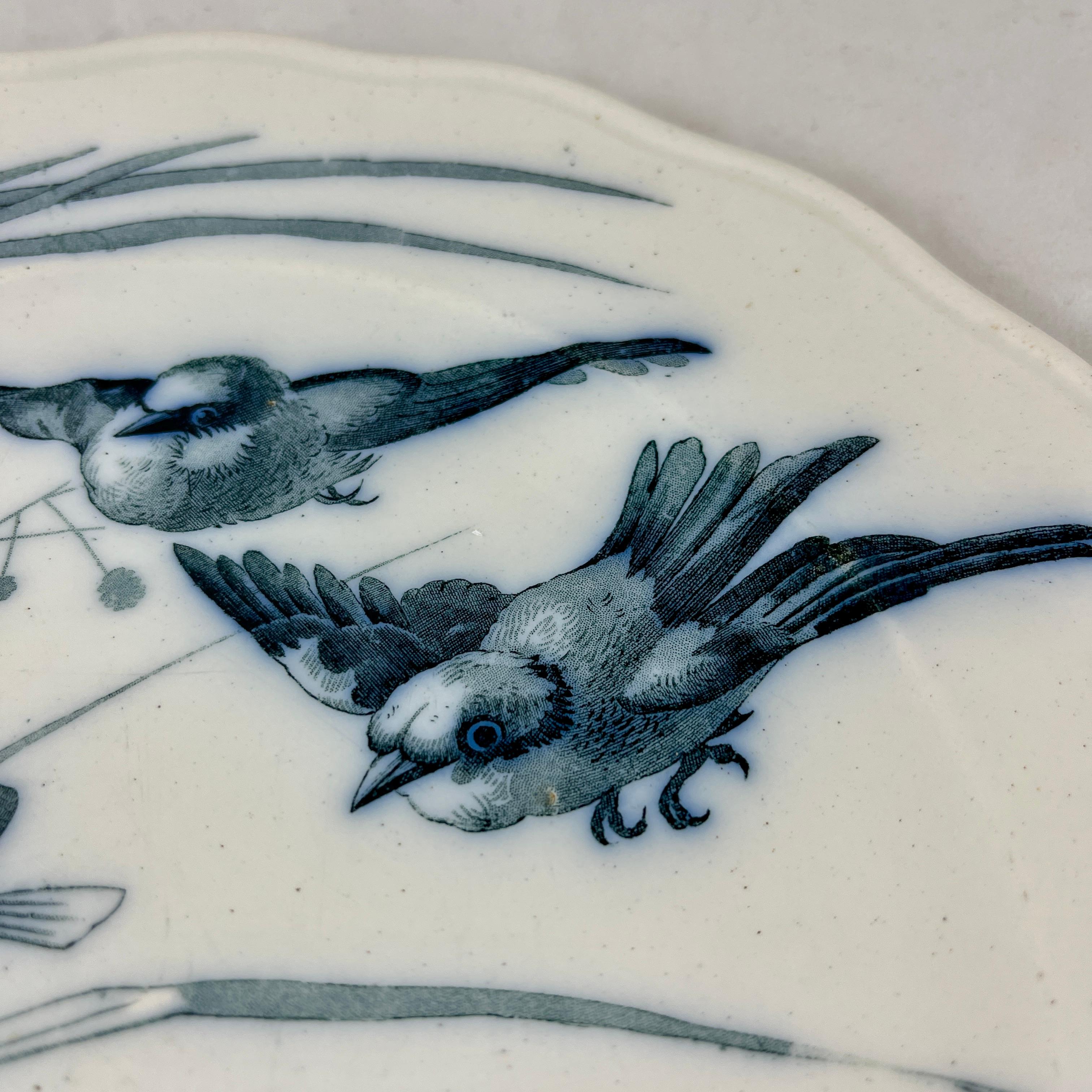 Glazed Brown, Westhead & Moore English Ironstone Canova Bird Plate, No. 2