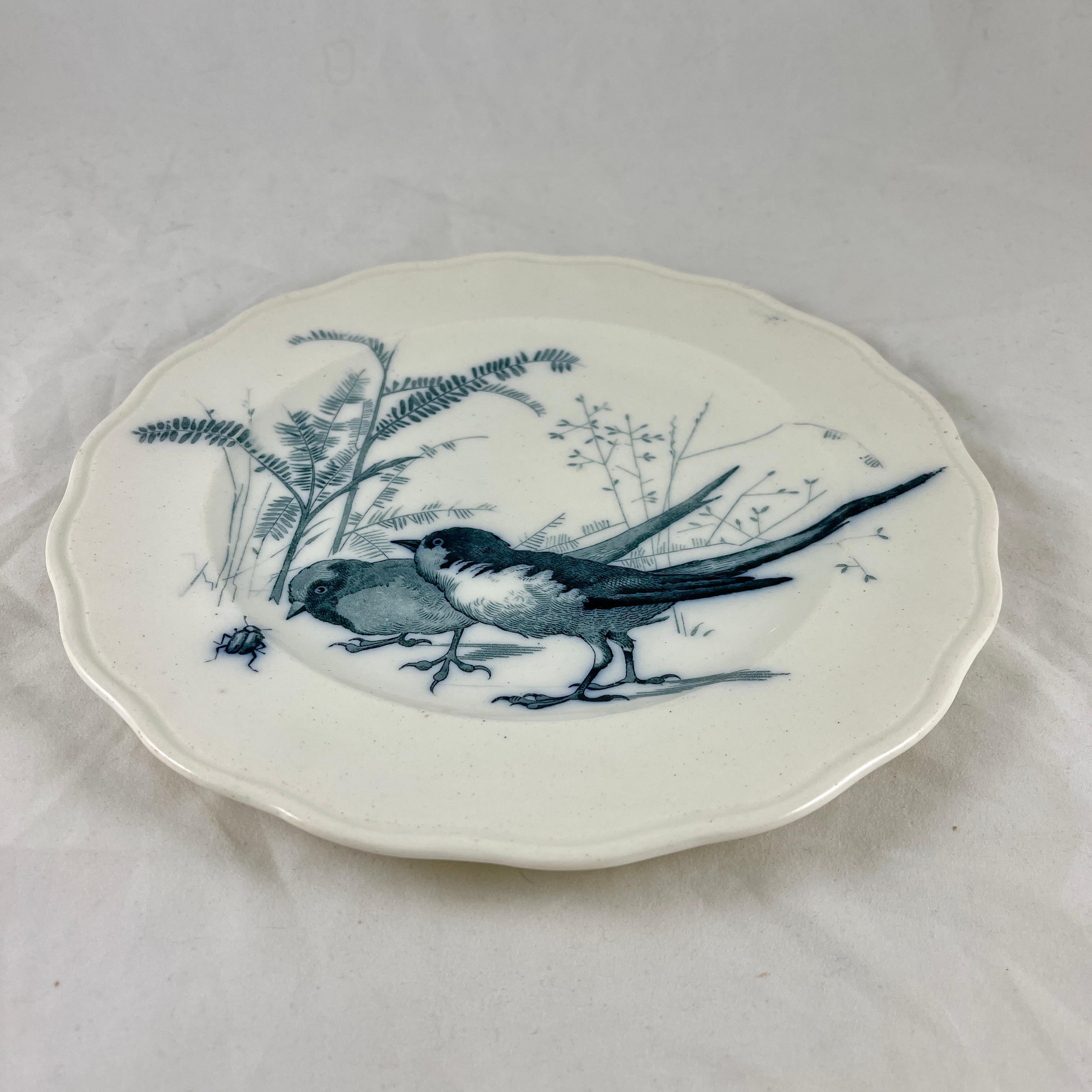 Brown, Westhead & Moore English Ironstone Canova Bird Plate, No. 7 In Good Condition In Philadelphia, PA