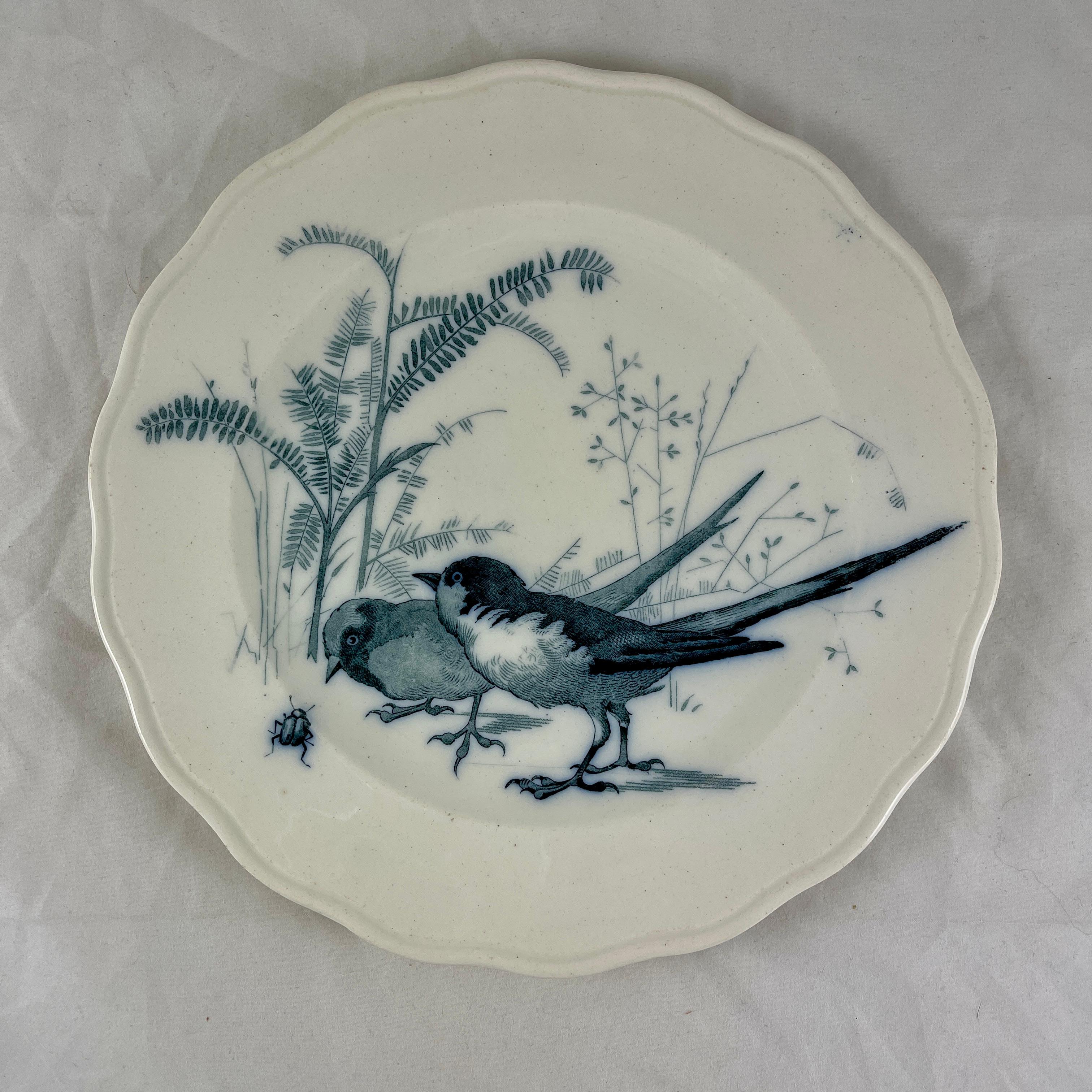 Brown, Westhead & Moore English Ironstone Canova Bird Plate, No. 7 2