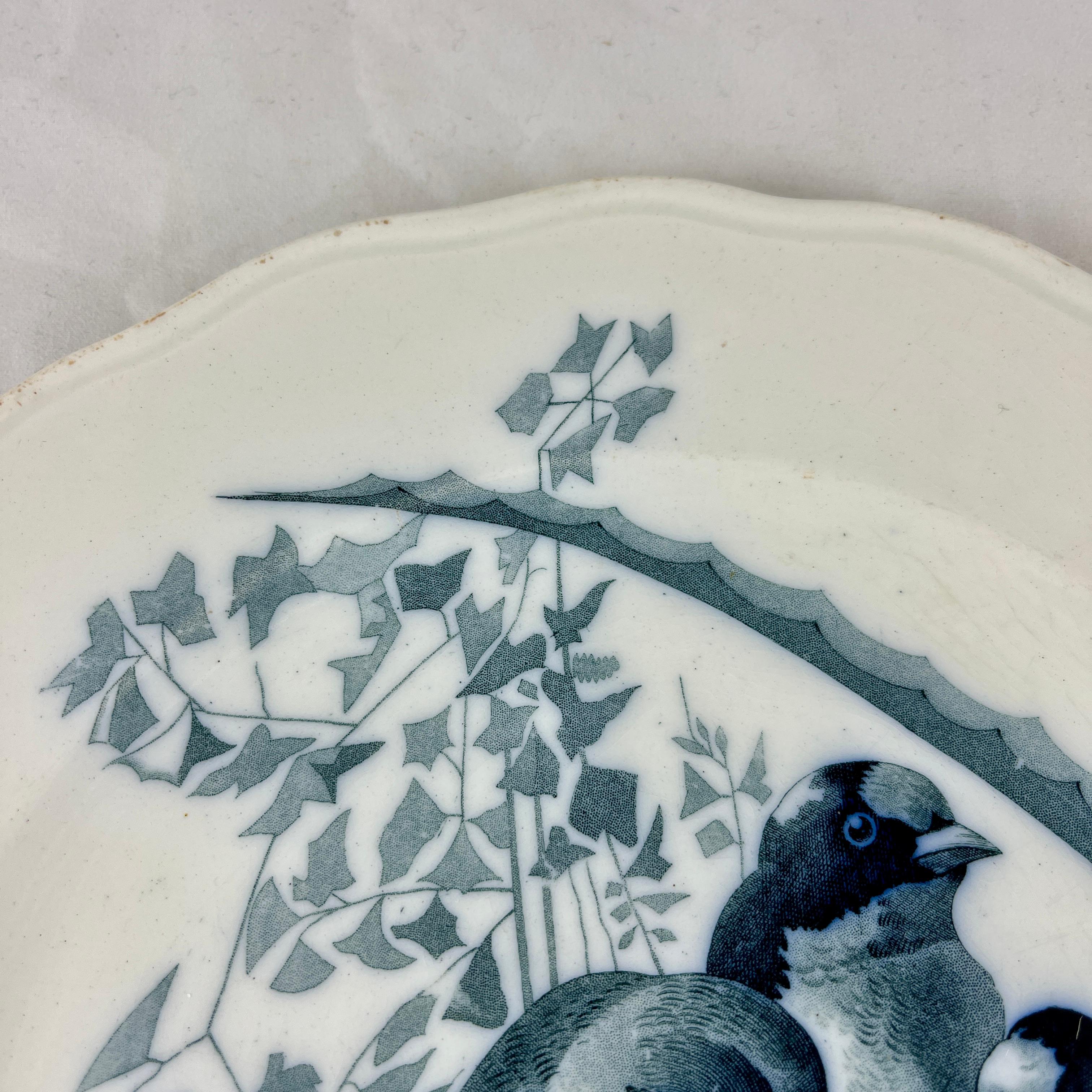 Glazed Brown, Westhead & Moore English Ironstone Canova Bird Plate, No. 9