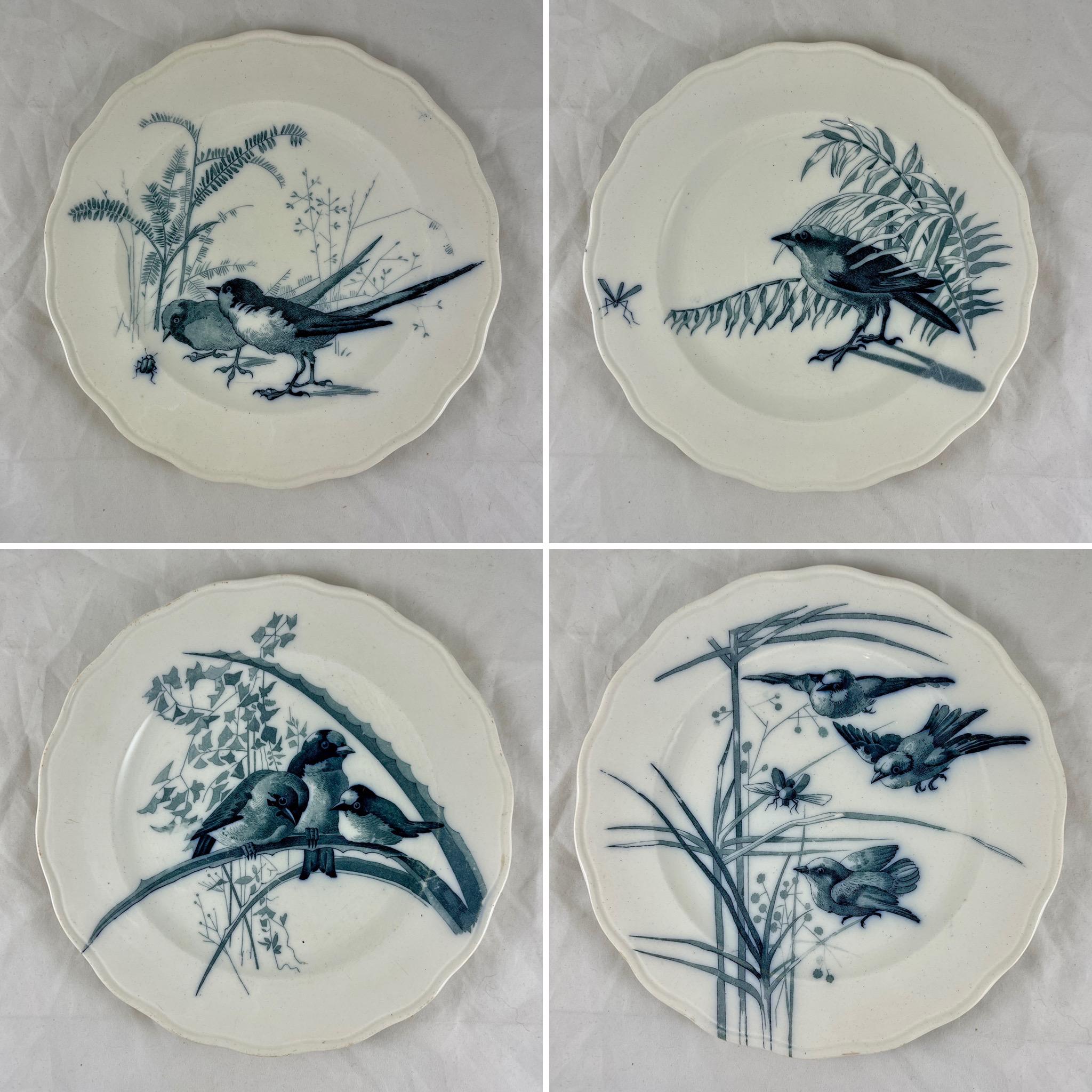 Brown, Westhead & Moore English Staffordshire Ironstone Bird Plate, No. 13 4