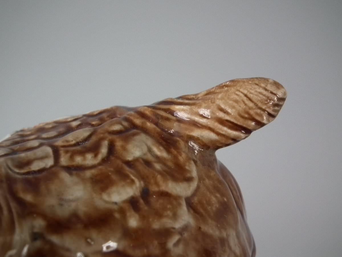 Brown Westhead Moore Majolica Owl Figure For Sale 4