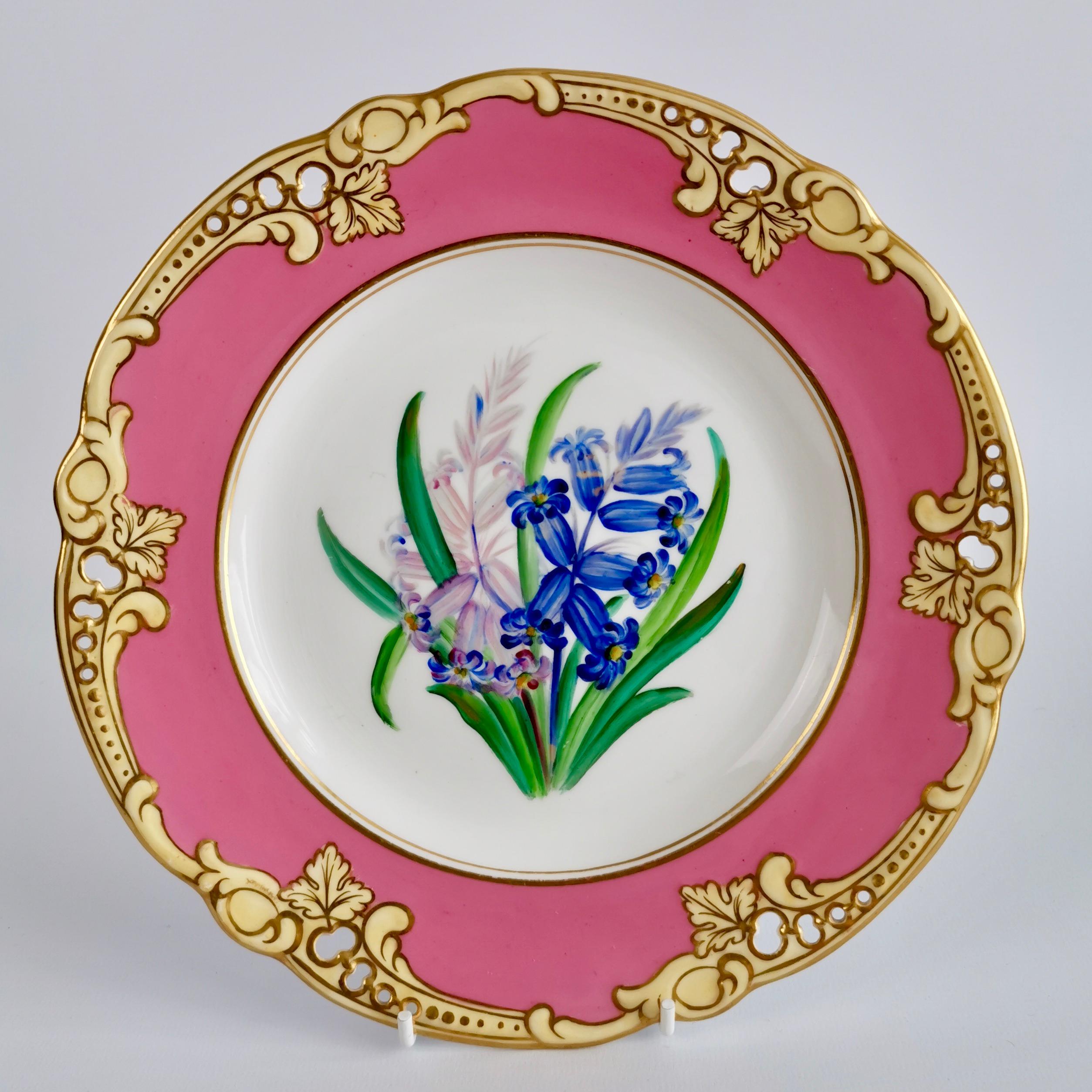 Brown Westhead & Moore Porcelain Dessert Service, Hot Pink Botanical, circa 1860 3