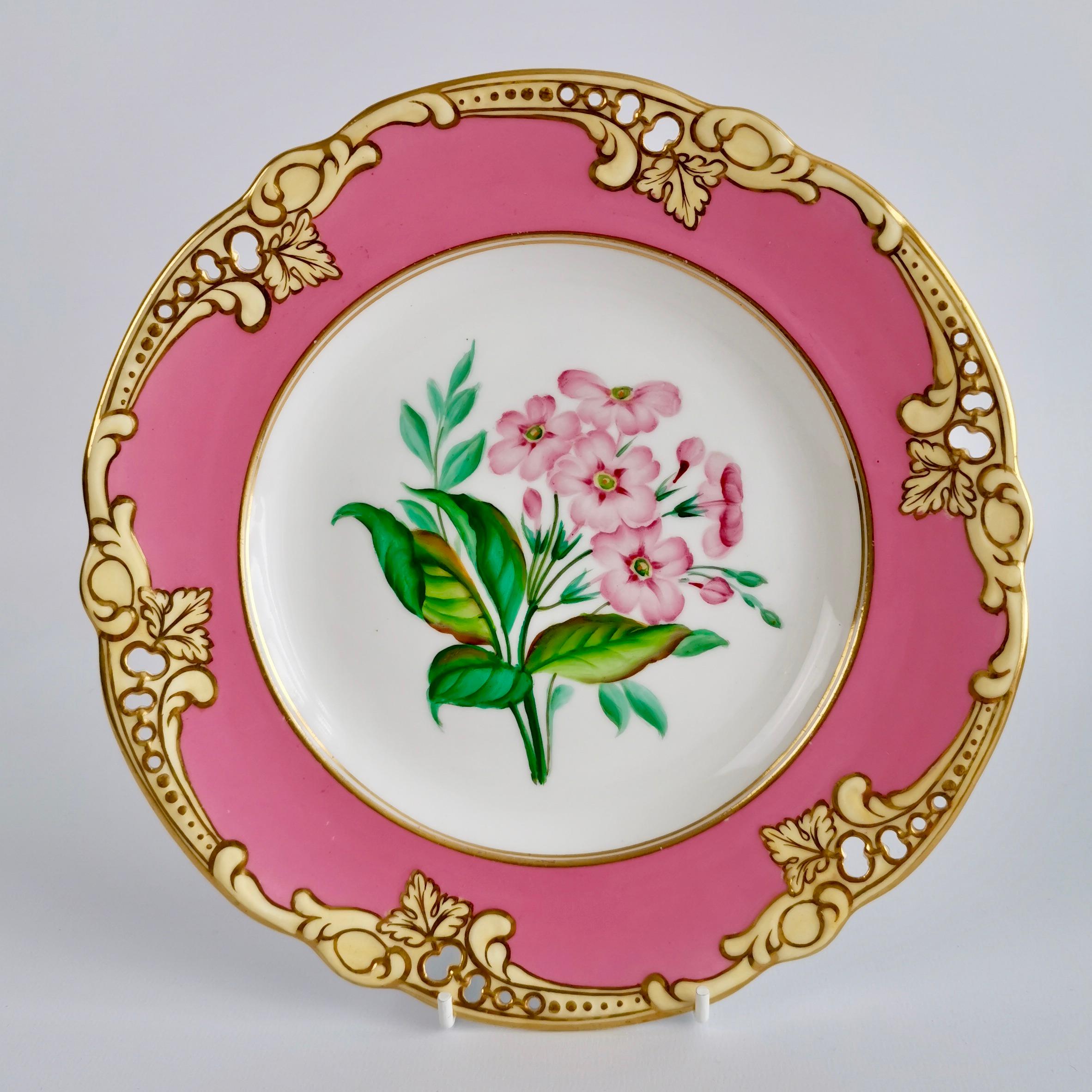 Brown Westhead & Moore Porcelain Dessert Service, Hot Pink Botanical, circa 1860 4