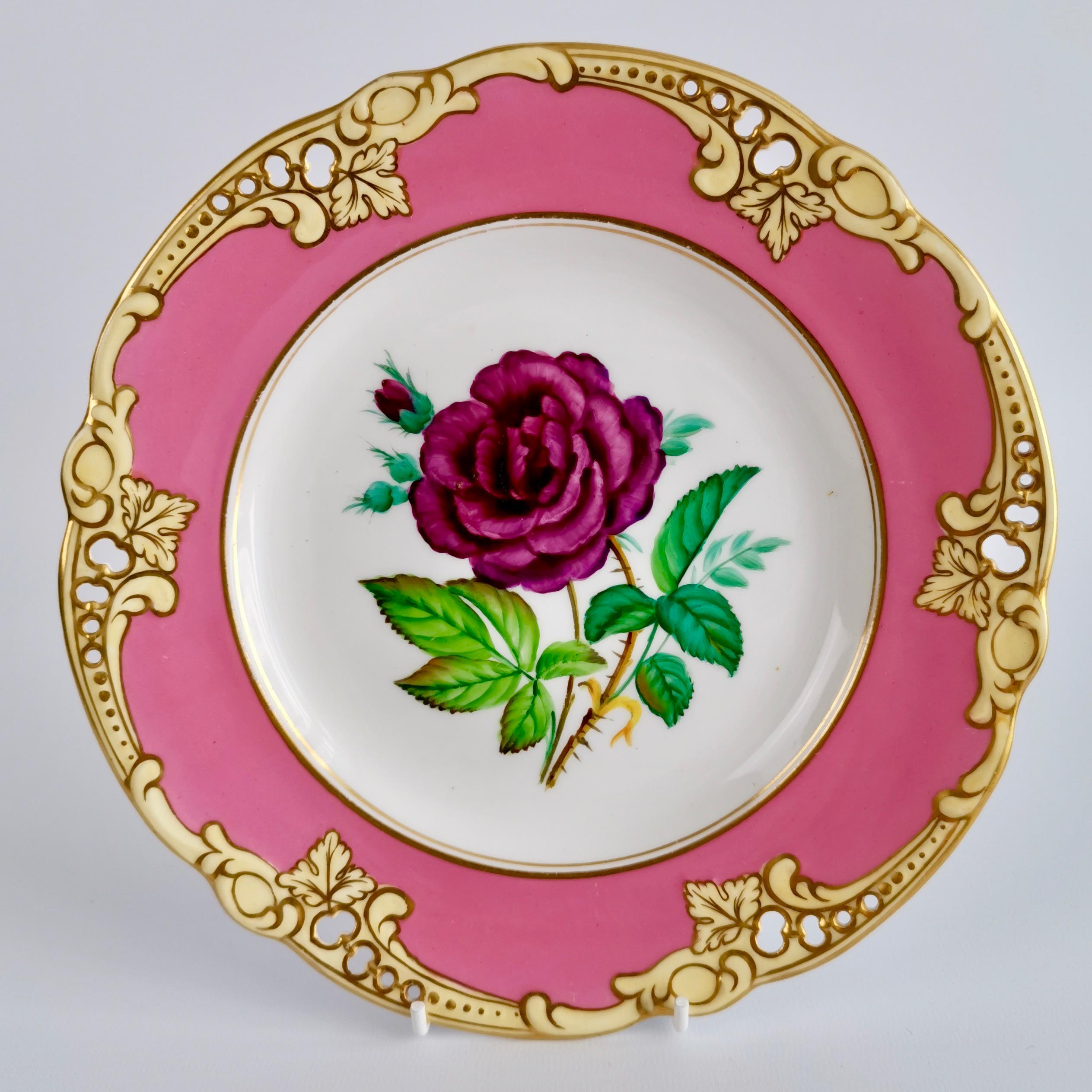 Brown Westhead & Moore Porcelain Dessert Service, Hot Pink Botanical, circa 1860 5