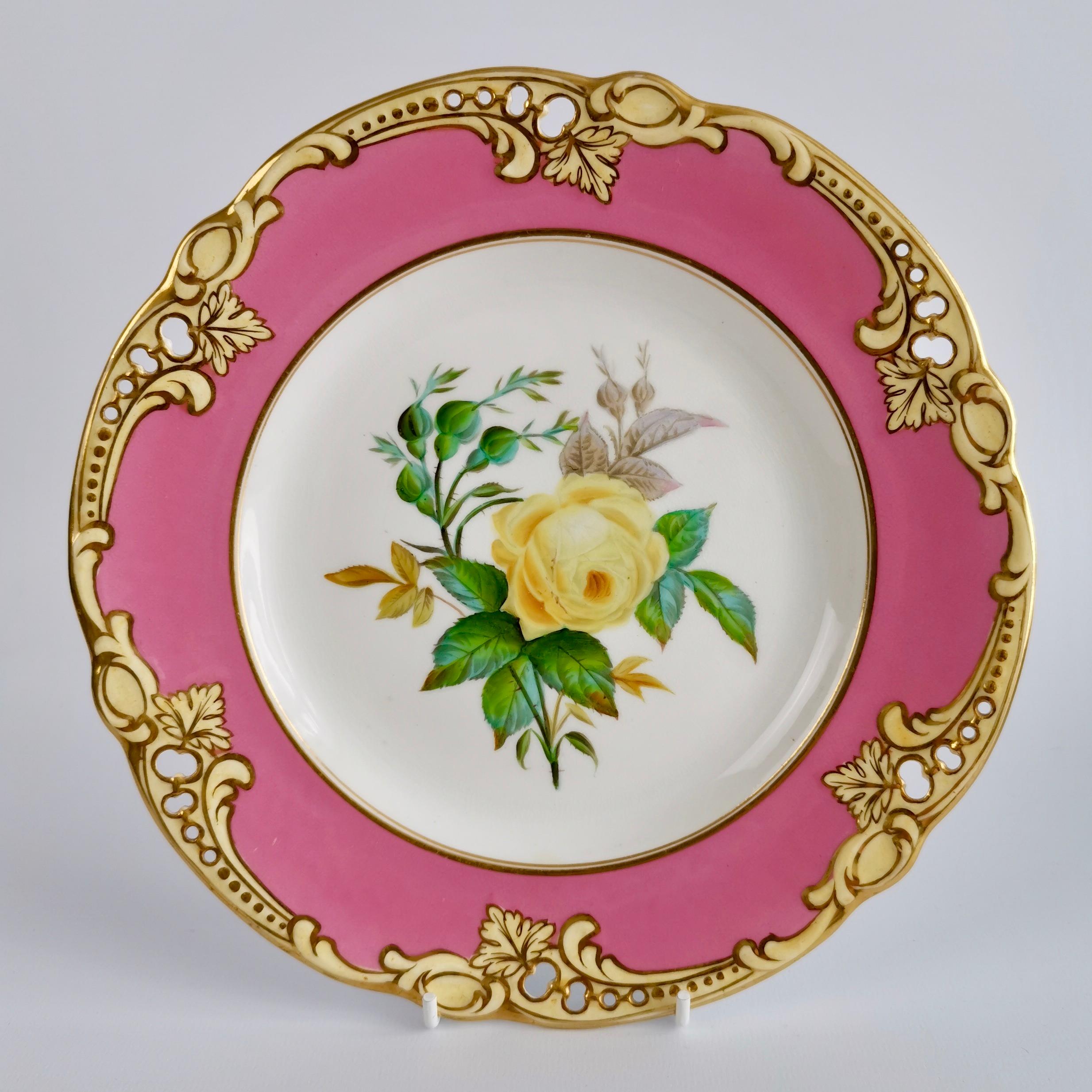 Brown Westhead & Moore Porcelain Dessert Service, Hot Pink Botanical, circa 1860 6