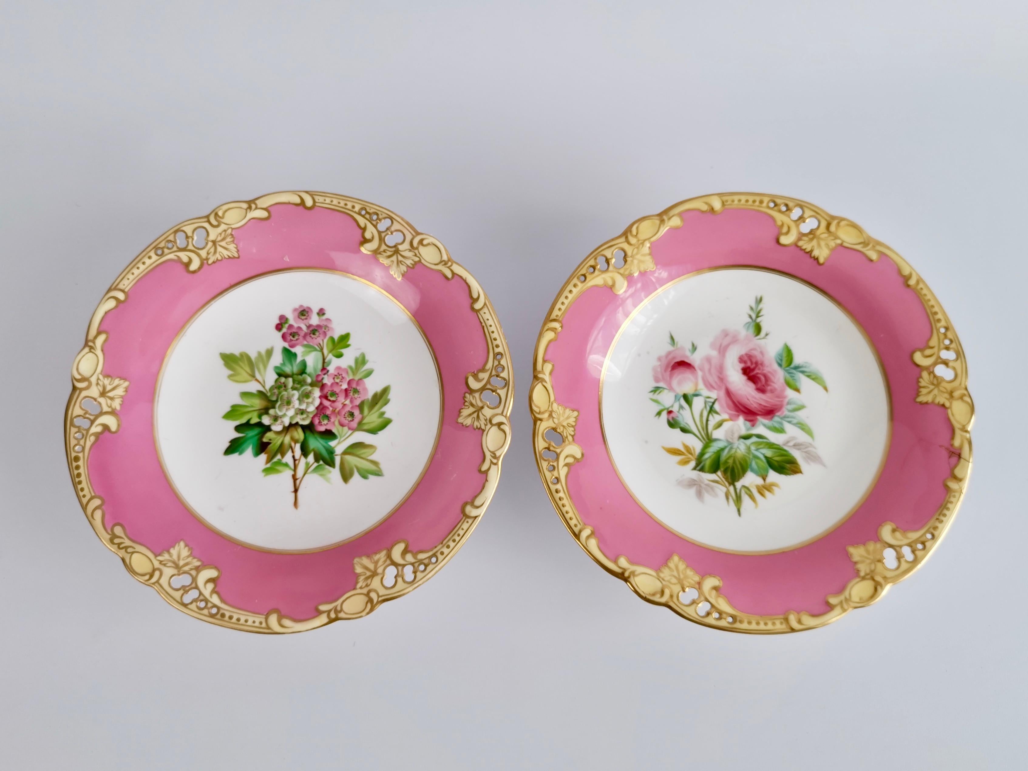 Hand-Painted Brown Westhead & Moore Porcelain Dessert Service, Hot Pink Botanical, circa 1860