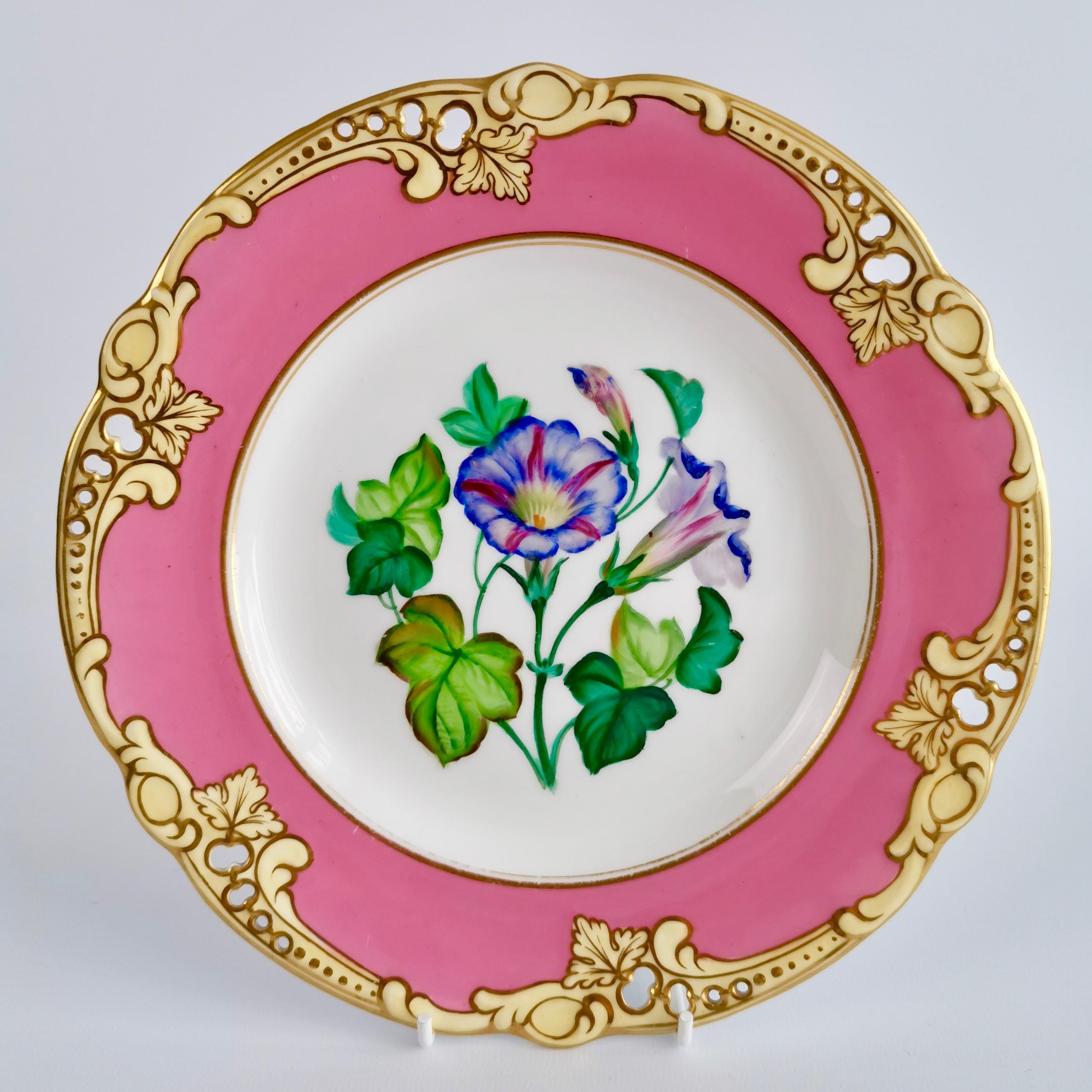 Mid-19th Century Brown Westhead & Moore Porcelain Dessert Service, Hot Pink Botanical, circa 1860