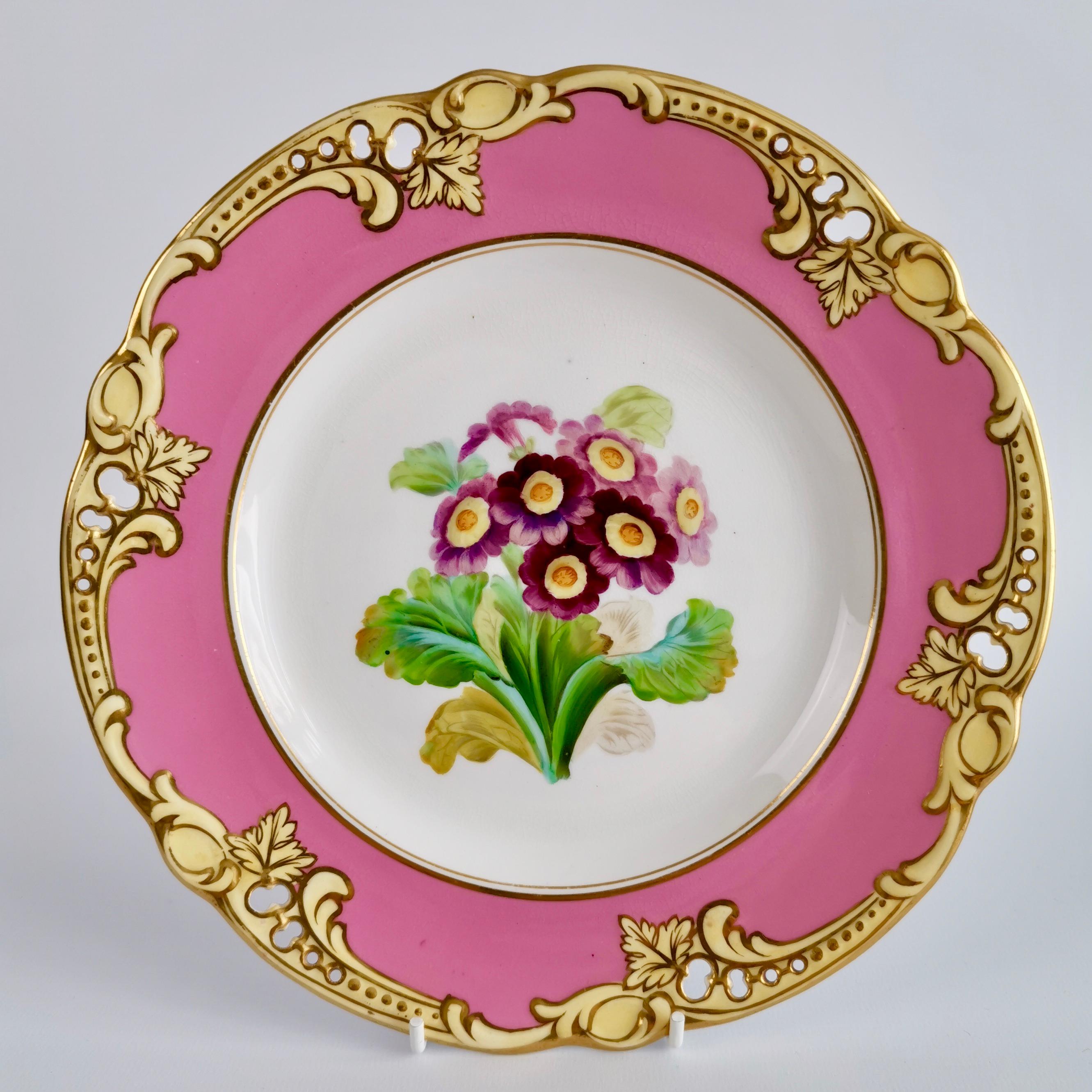 Brown Westhead & Moore Porcelain Dessert Service, Hot Pink Botanical, circa 1860 1