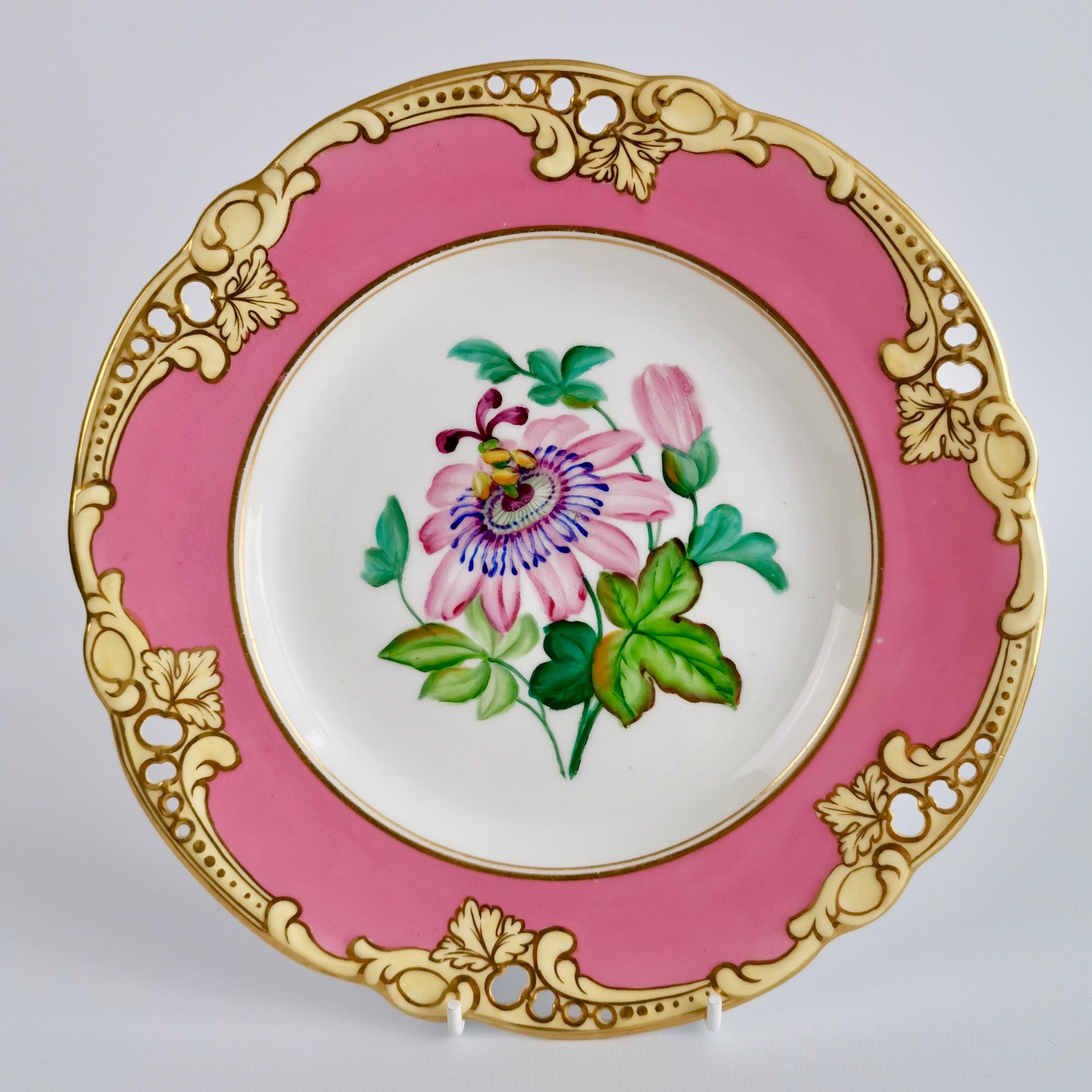 Brown Westhead & Moore Porcelain Dessert Service, Hot Pink Botanical, circa 1860 2