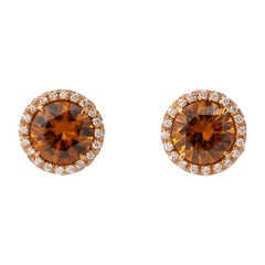 Brown Zircon Diamond Rose Gold Earrings