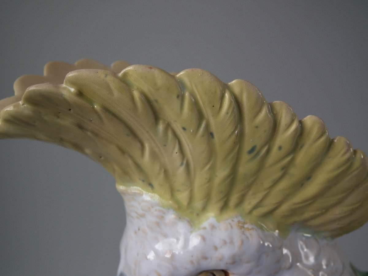 Brownfield Majolica Cockatoo Jug or Pitcher 3