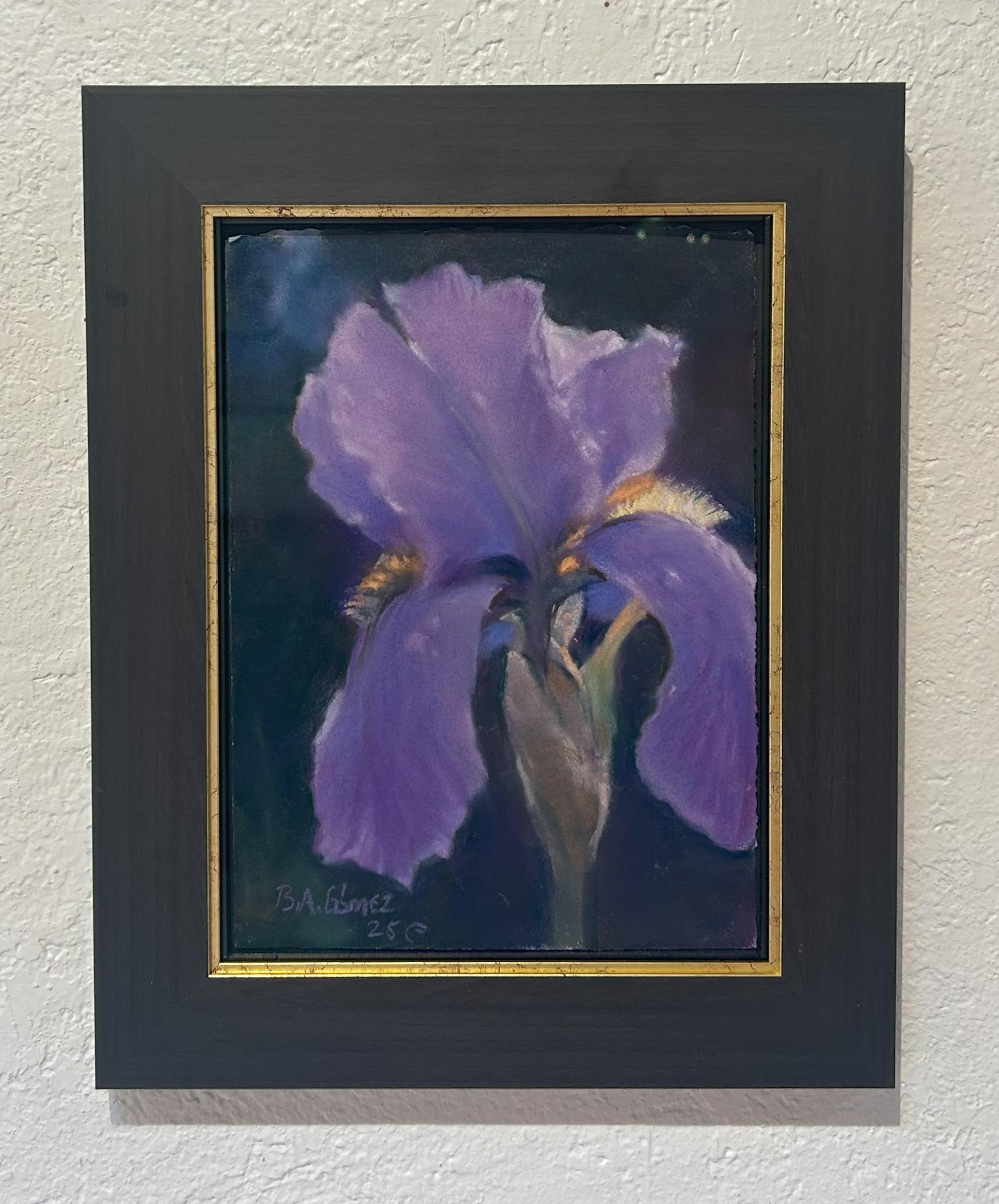 Mai-Schwertlilie (2025), Realistische violette Schwertlilie, Nahaufnahme Blumenstillleben Pastellmalerei – Painting von Bruce A Gómez